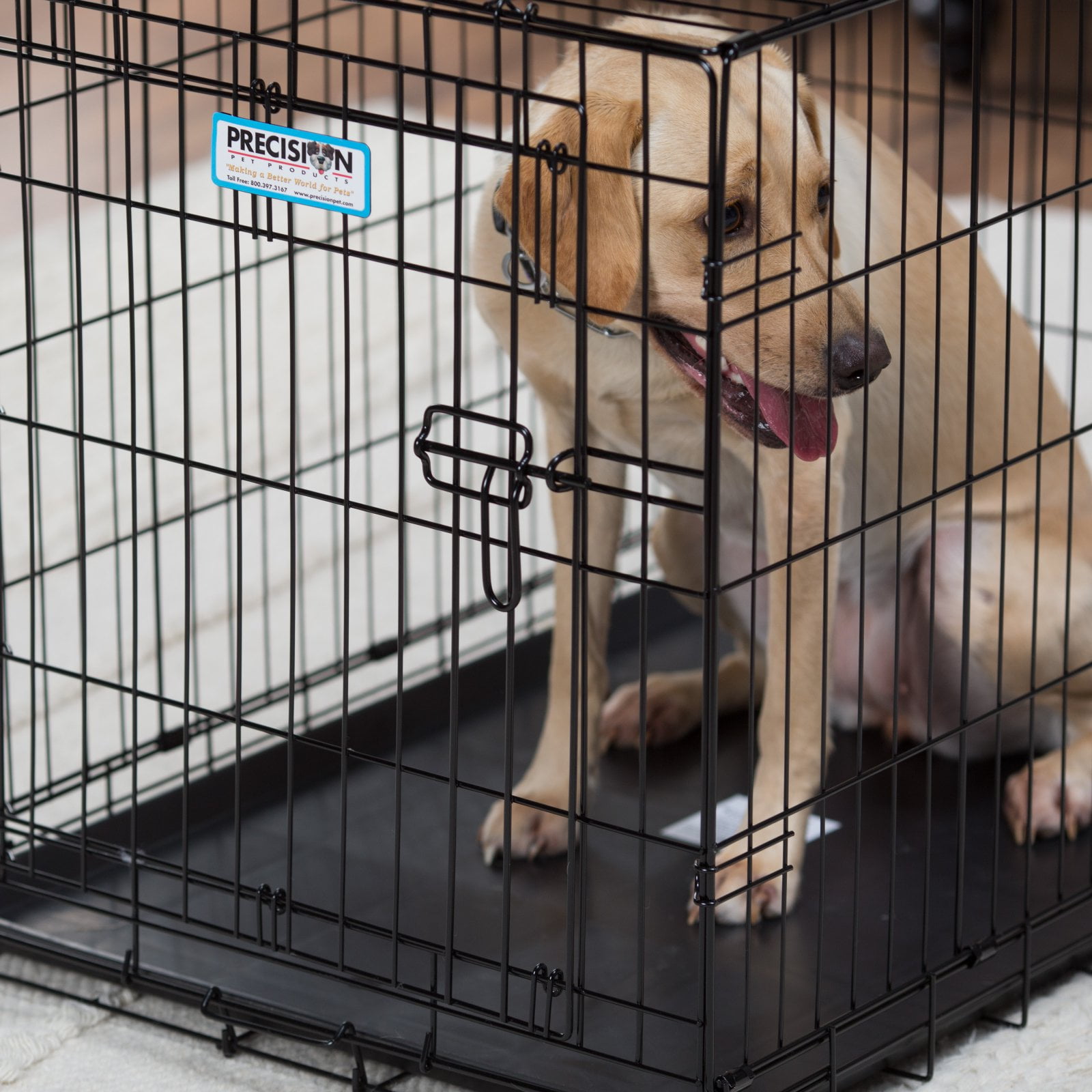 Precision Pet Products 36" Metal Pet Crate for Dogs with Mat - Image 3