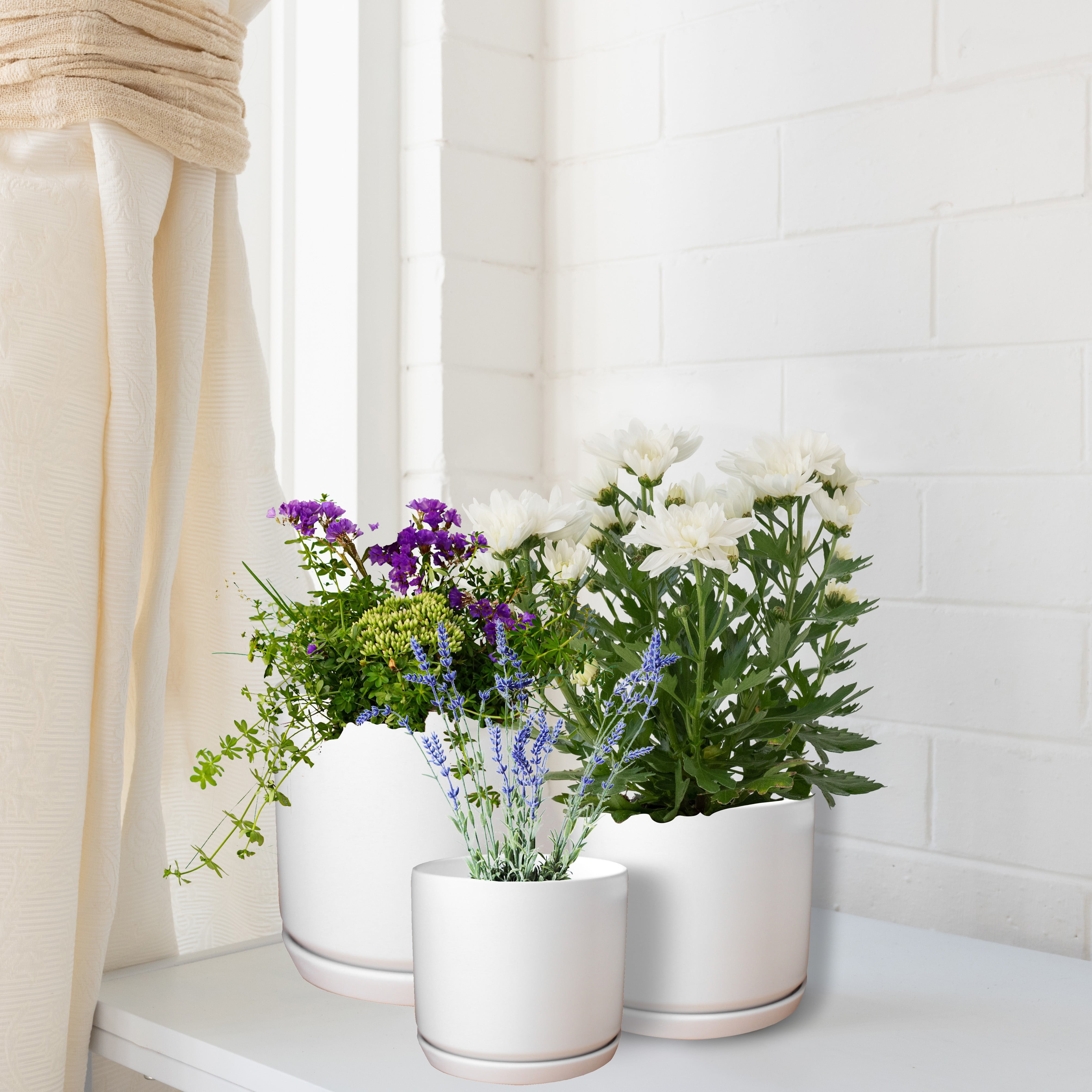 Matt White Flower Pots Garden Planters Set 3 Indoor outdoor ceramic plant pots round with Saucers - Image 4