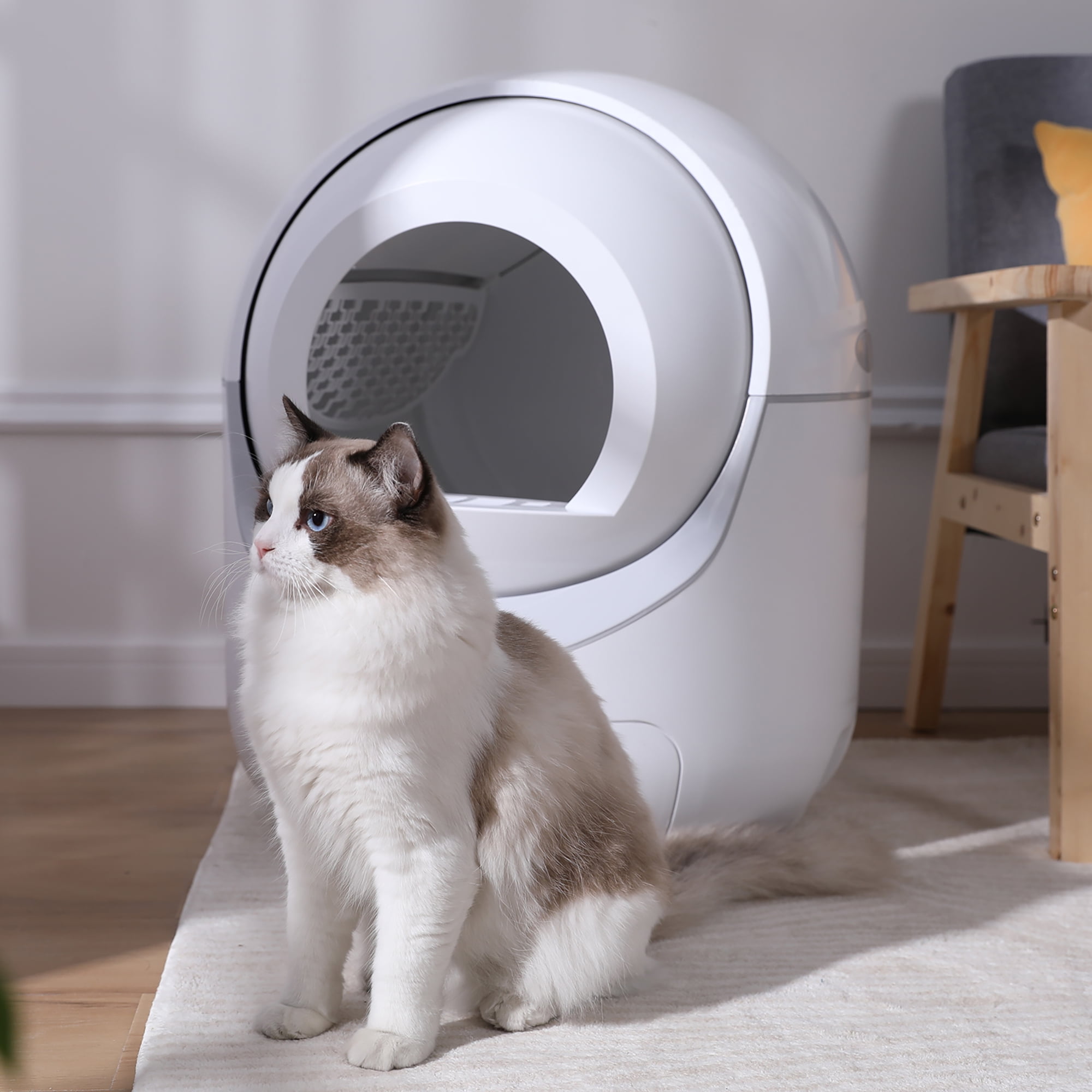 Smart Automatic Cat Litter Box, Self Cleaning Litter Box, App Control, Support 5G & 2.4G WiFi for Multiple Cats - Image 3