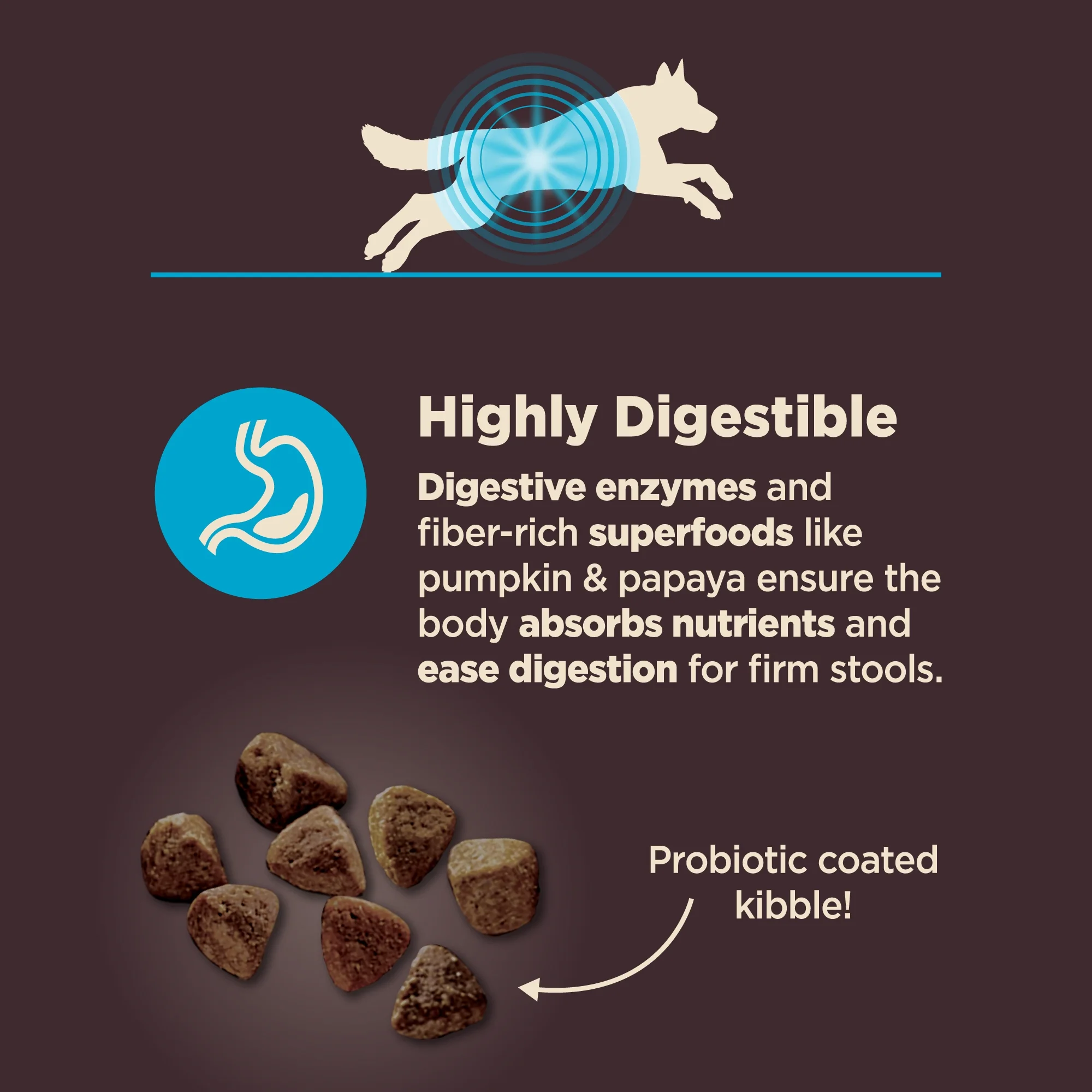 Wellness CORE Digestive Health Dry Dog Food, Wholesome Grains, Natural, High-Quality Ingredients for Dogs with Sensitive Stomachs, Whitefish & Brown Rice Recipe, (22-Pound Bag) - Image 7