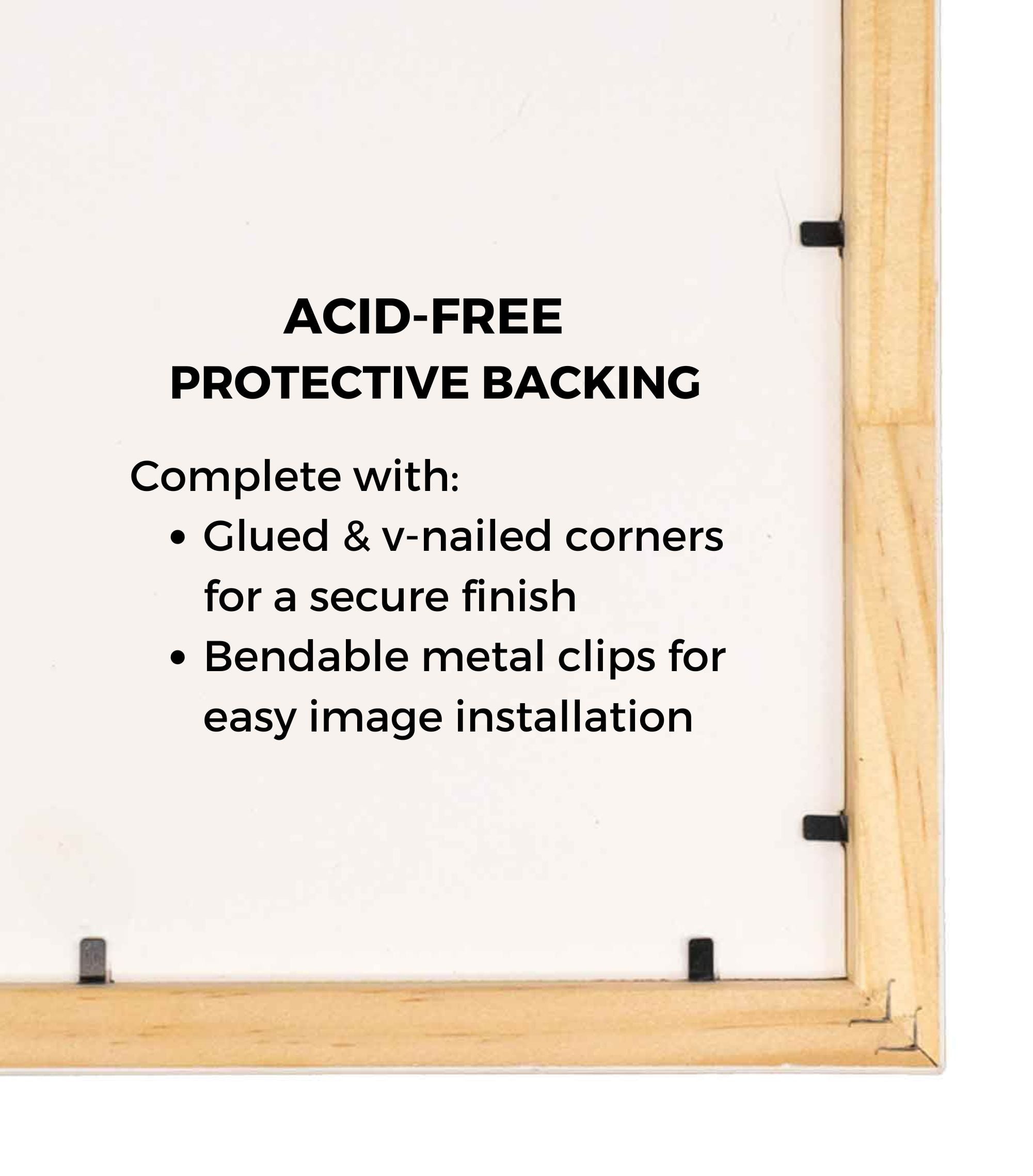 Earl's Performance 993812ERL Fuel Hose Fitting - Image 5