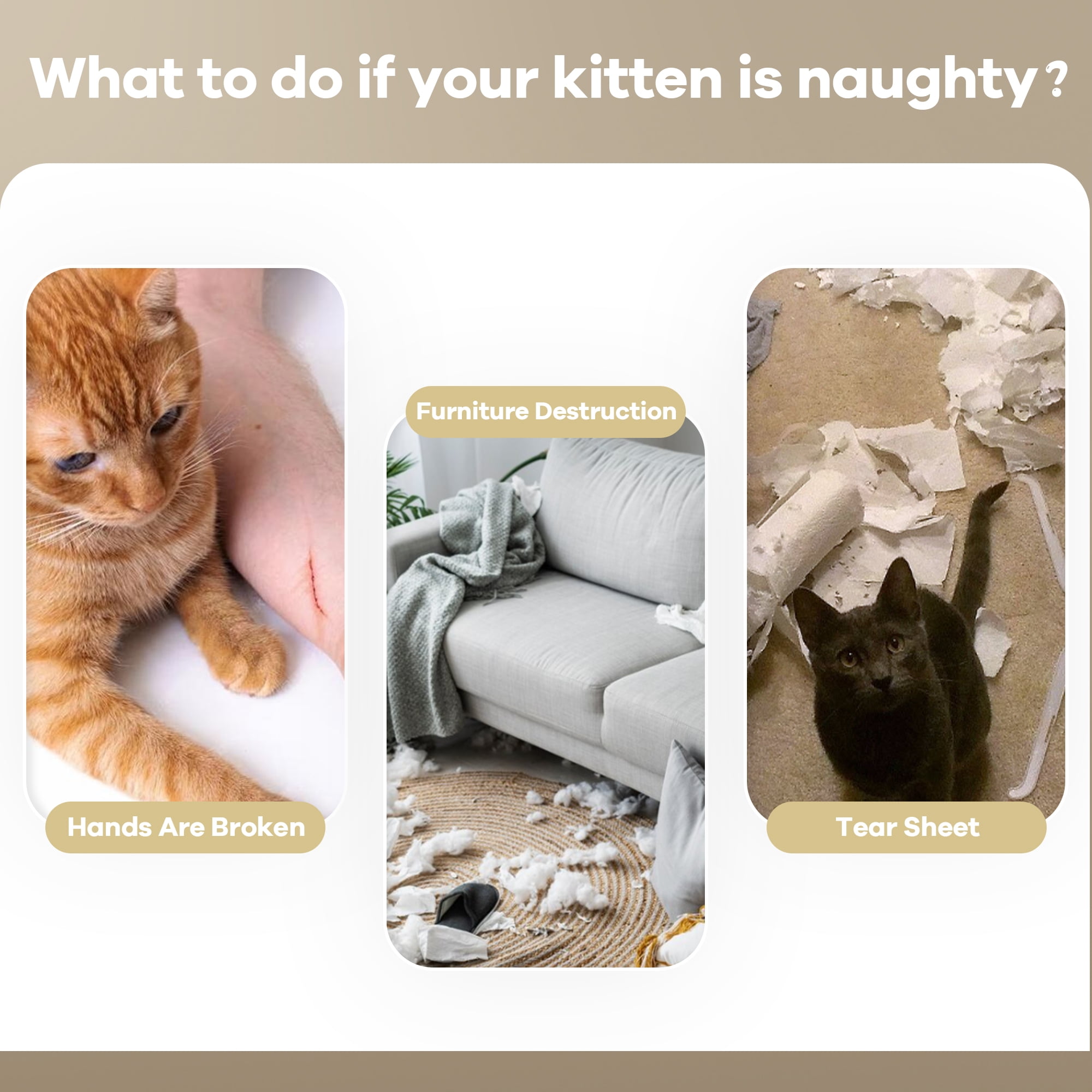 Cat Tree Airnesolly 45 4-Tier Cat Tower Condo for Indoor Kittens with Scratching Posts Perches Gray - Image 3