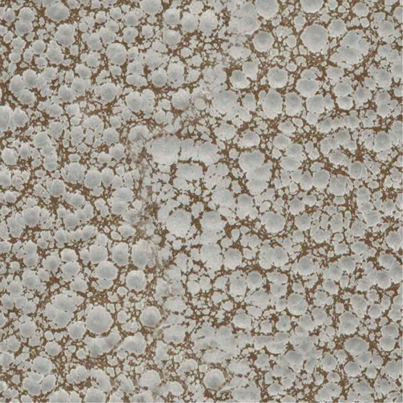 701 Black Opening Dome Top Bird Cage with Plastic Base, by A&E Cage Company - Image 2