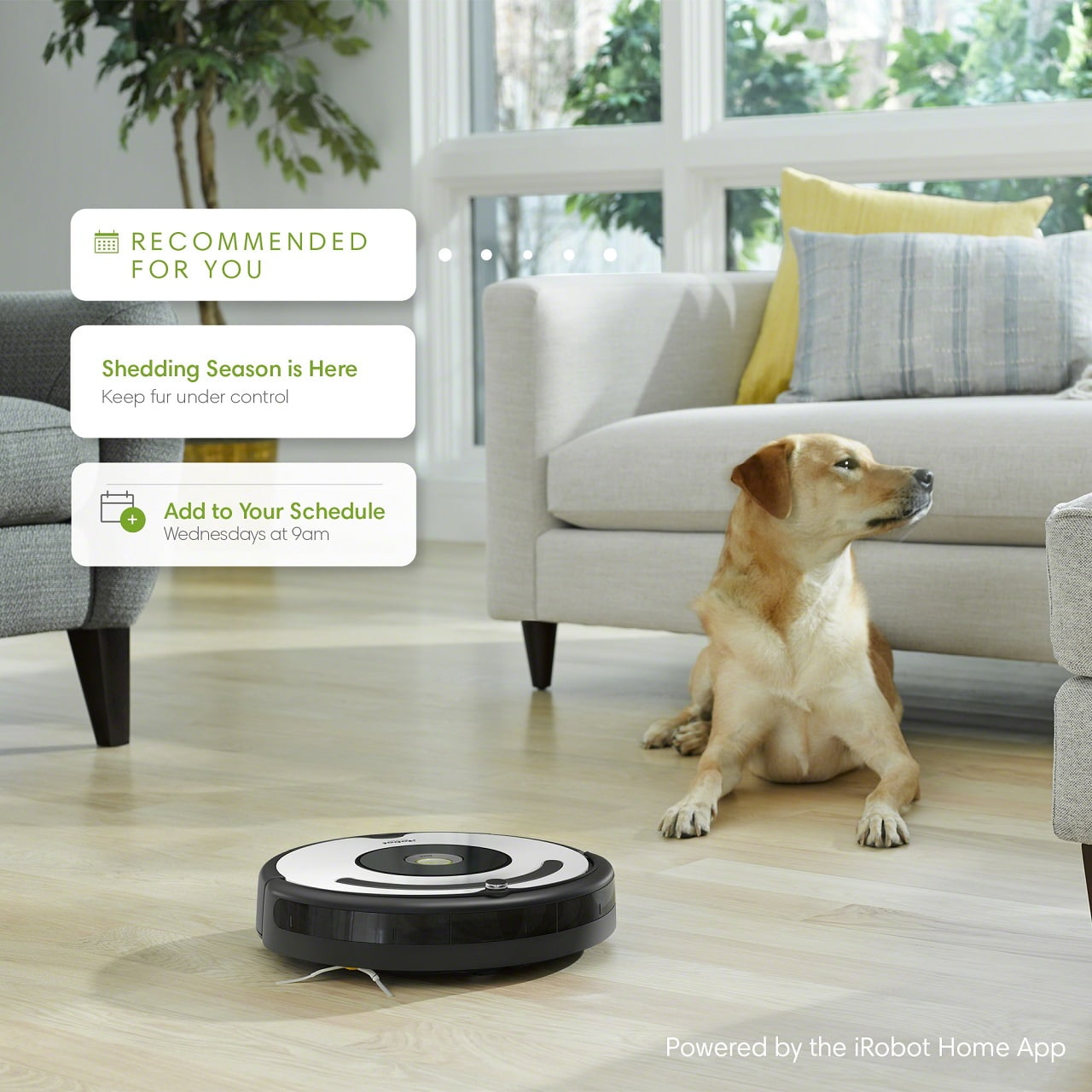 iRobot Roomba 670 Robot Vacuum-Wi-Fi Connectivity, Works with Google Home, Good for Pet Hair, Carpets, Hard Floors, Self-Charging - Image 3