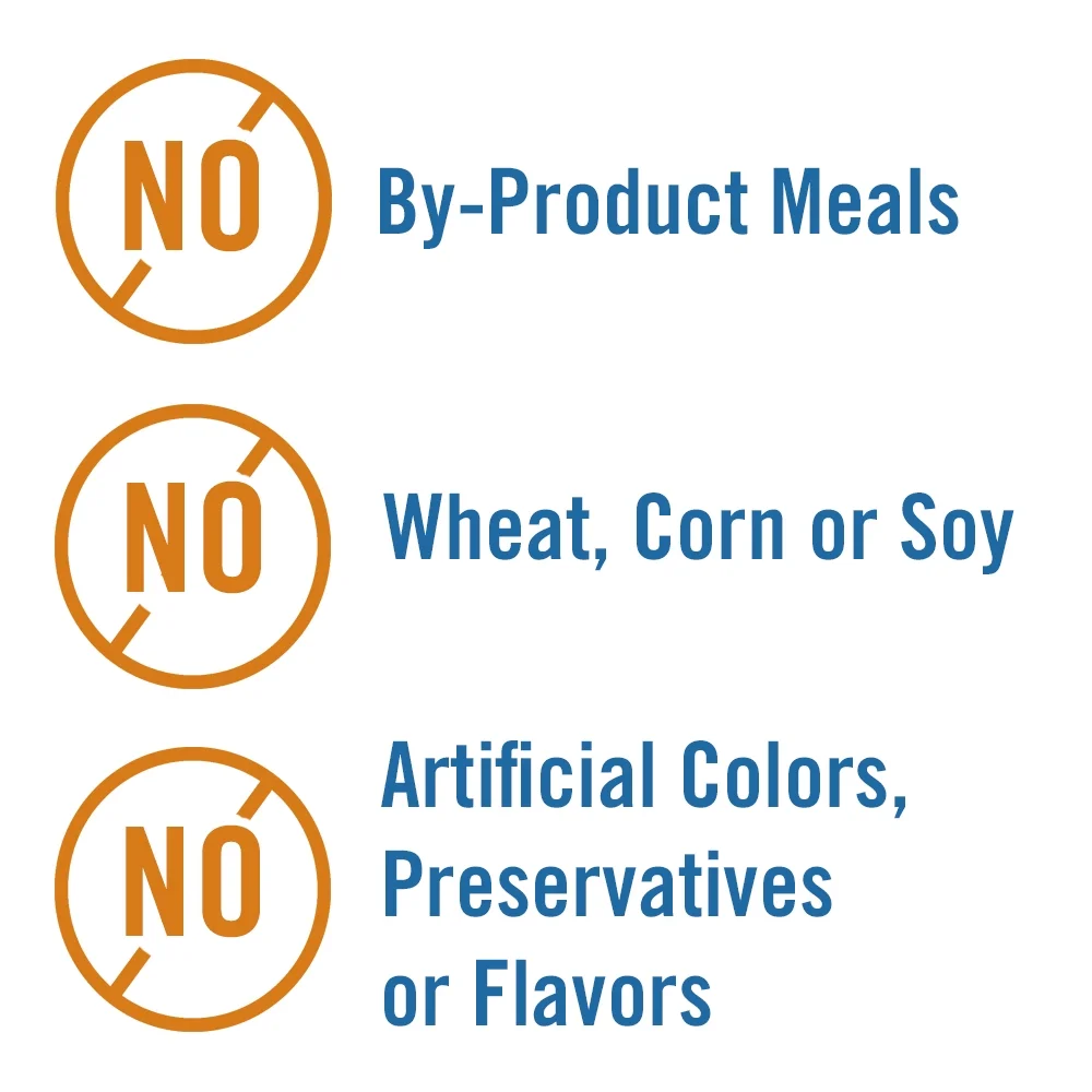 Chicken Soup for the Soul Classic Cat - Chicken Dinner in Gravy Recipe Shreds (24 x 5.5oz Case) - Image 3