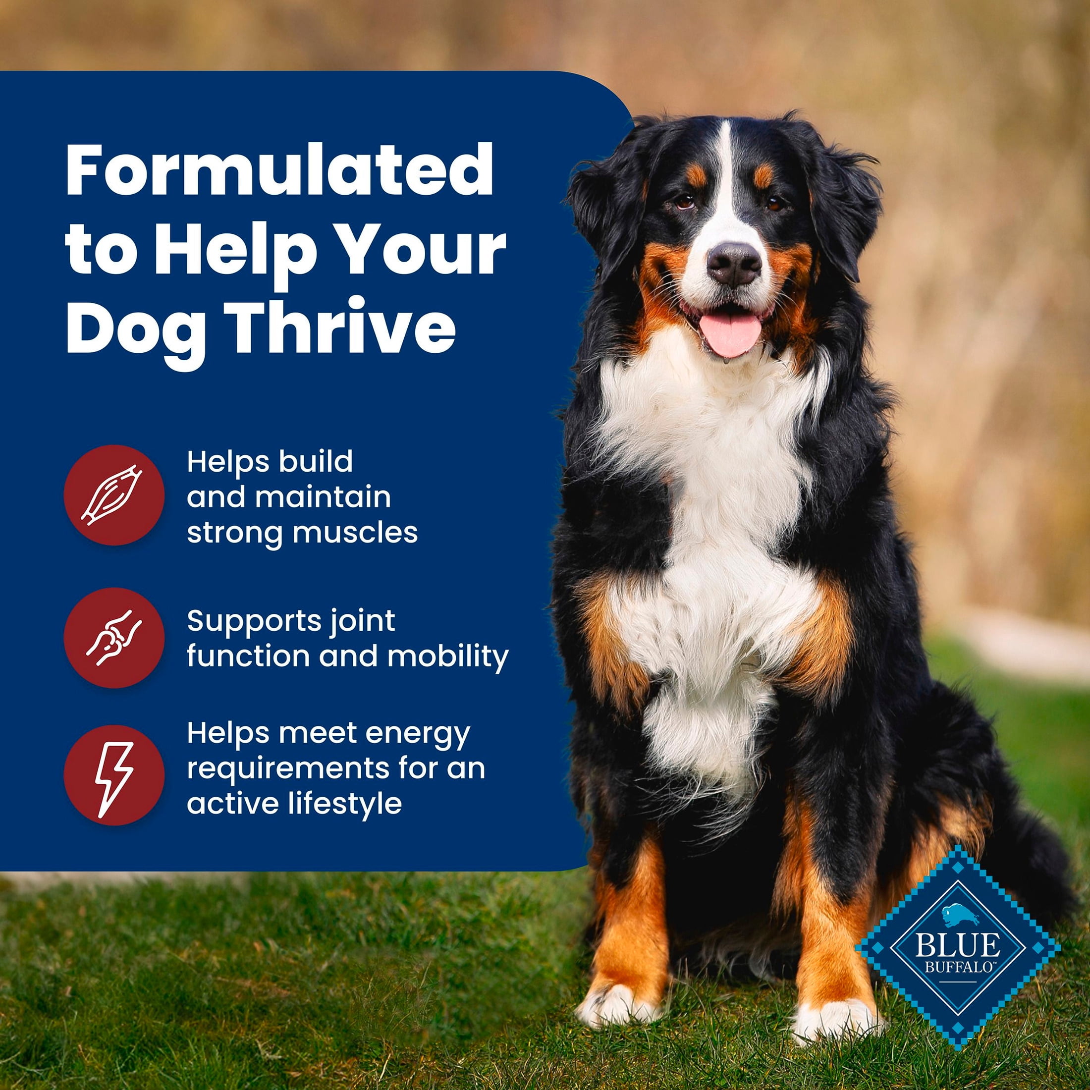 Blue Buffalo Life Protection Formula Adult Dry Dog Food, Beef & Brown Rice, 30lb Bag - Image 9