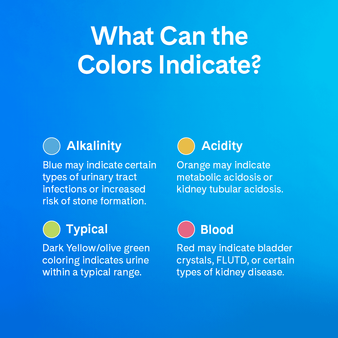 (4 pack) PrettyLitter Health Monitoring Cat Litter, Lotus Flower Scent, 8lb - Image 3