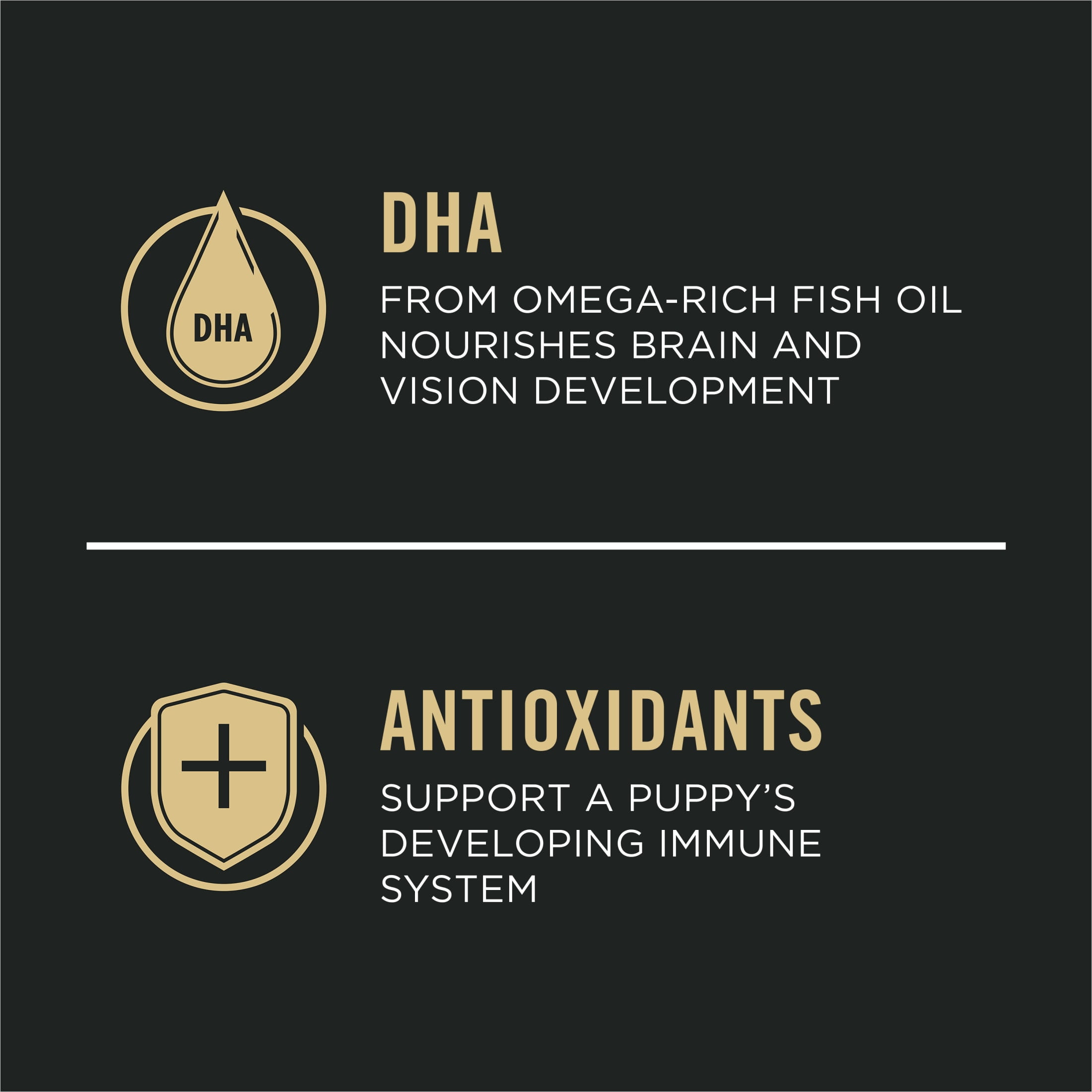 Purina Pro Plan Puppy Dry Dog Food, Dogs Under 1 Year, High Protein Real Lamb & Rice Formula, 34 lb Bag - Image 10