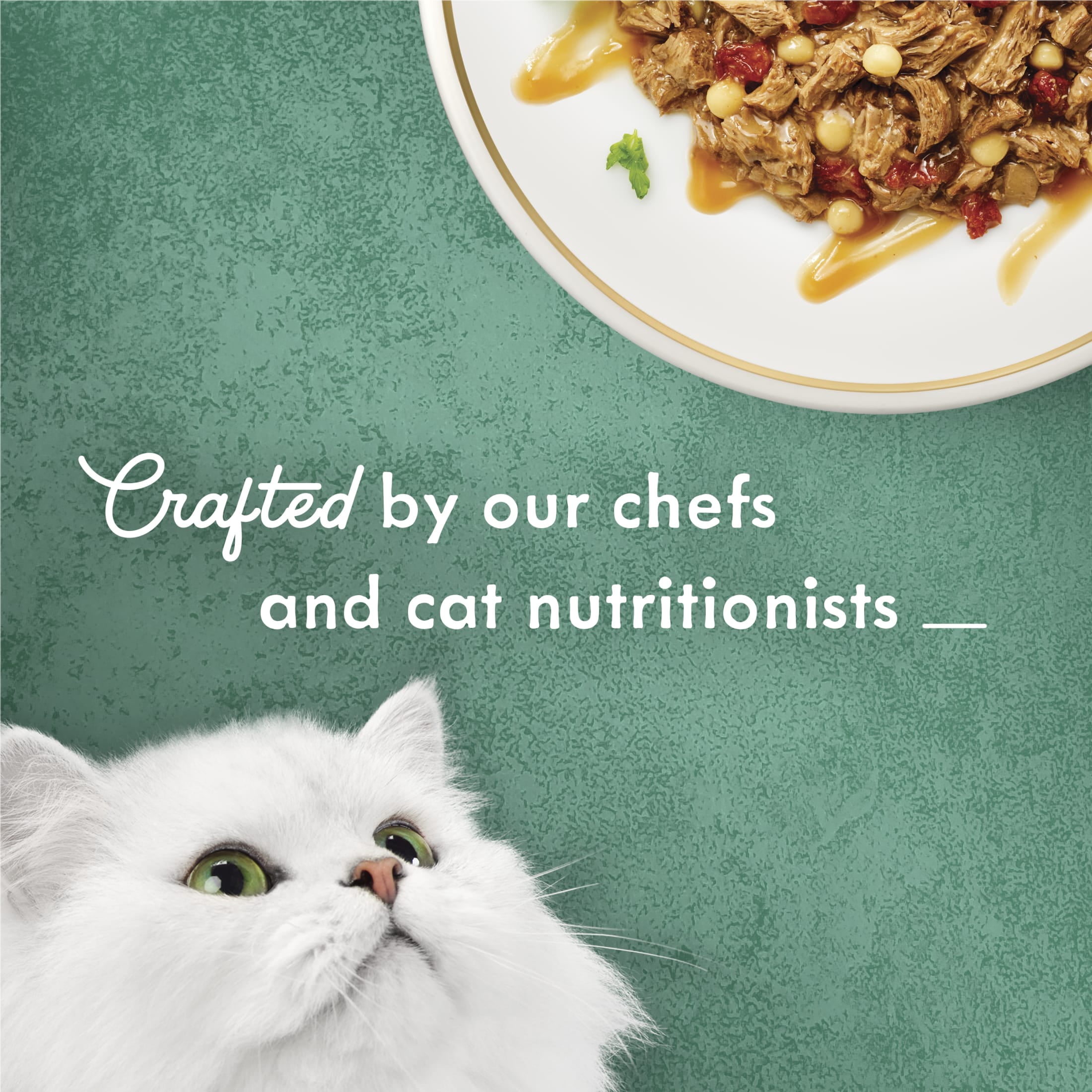 (24 pack) Purina Fancy Feast Medleys, Beef Ragu & Pasta Cat Food, 3 oz Can - Image 5