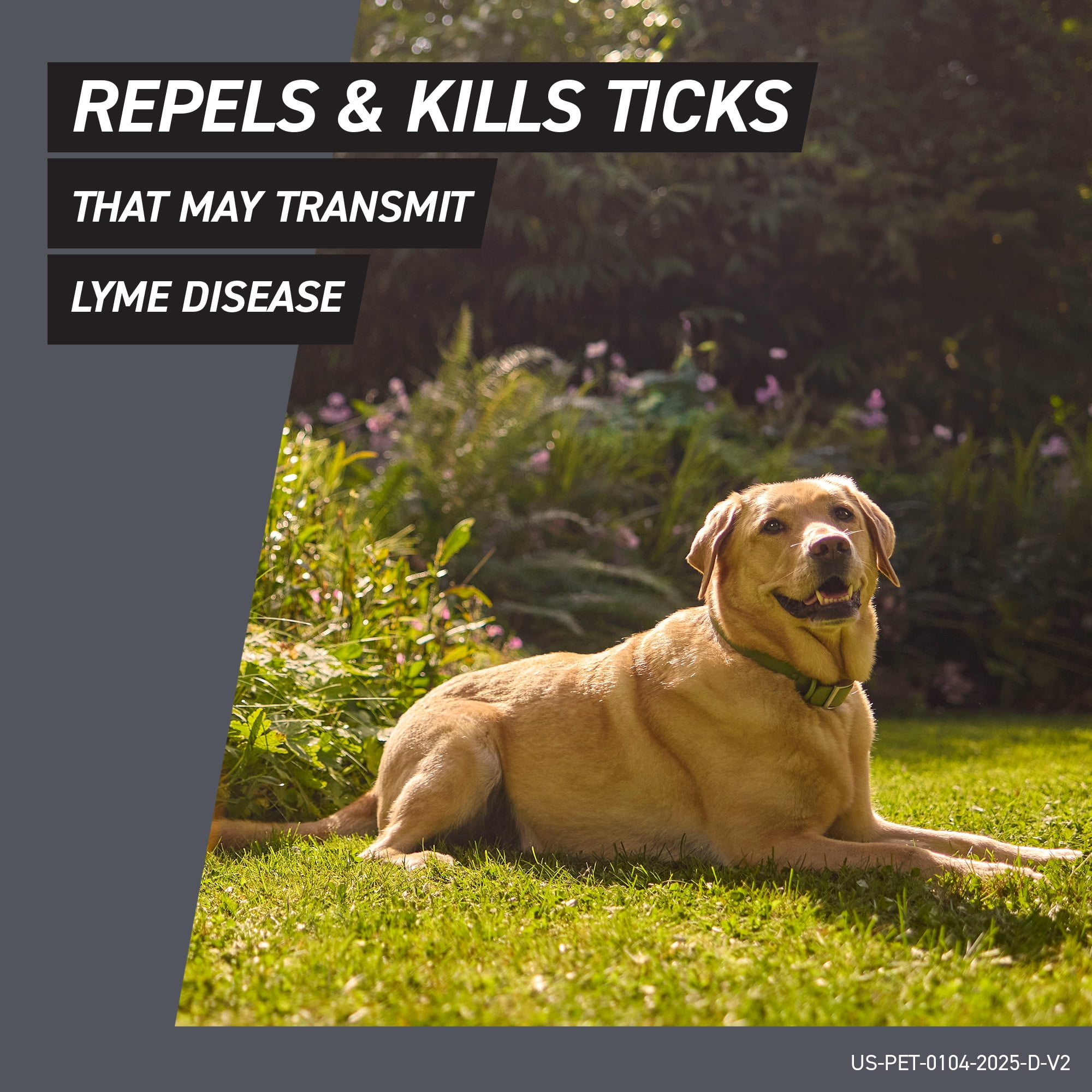 FRONTLINE Shield Flea & Tick Treatment for Dogs, 21-40 lbs, 6 Count (Box) - Image 4