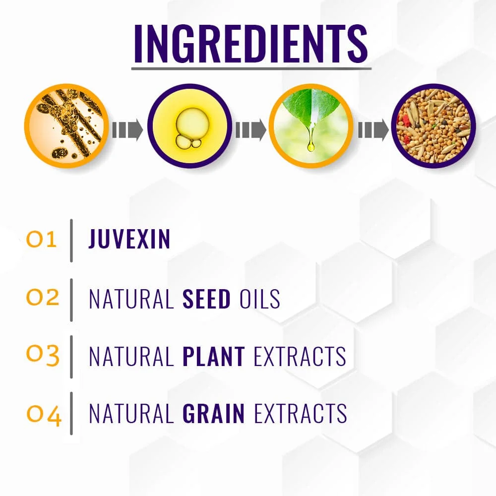 GK HAIR Global Keratin Silver Bombshell Purple Shampoo (24 Fl Oz/710ml) For Blonde, Platinum, Ash, Silver & Gray Hair Moisturizes Dry & Damaged Removes Yellow Brassy Tones - Image 3