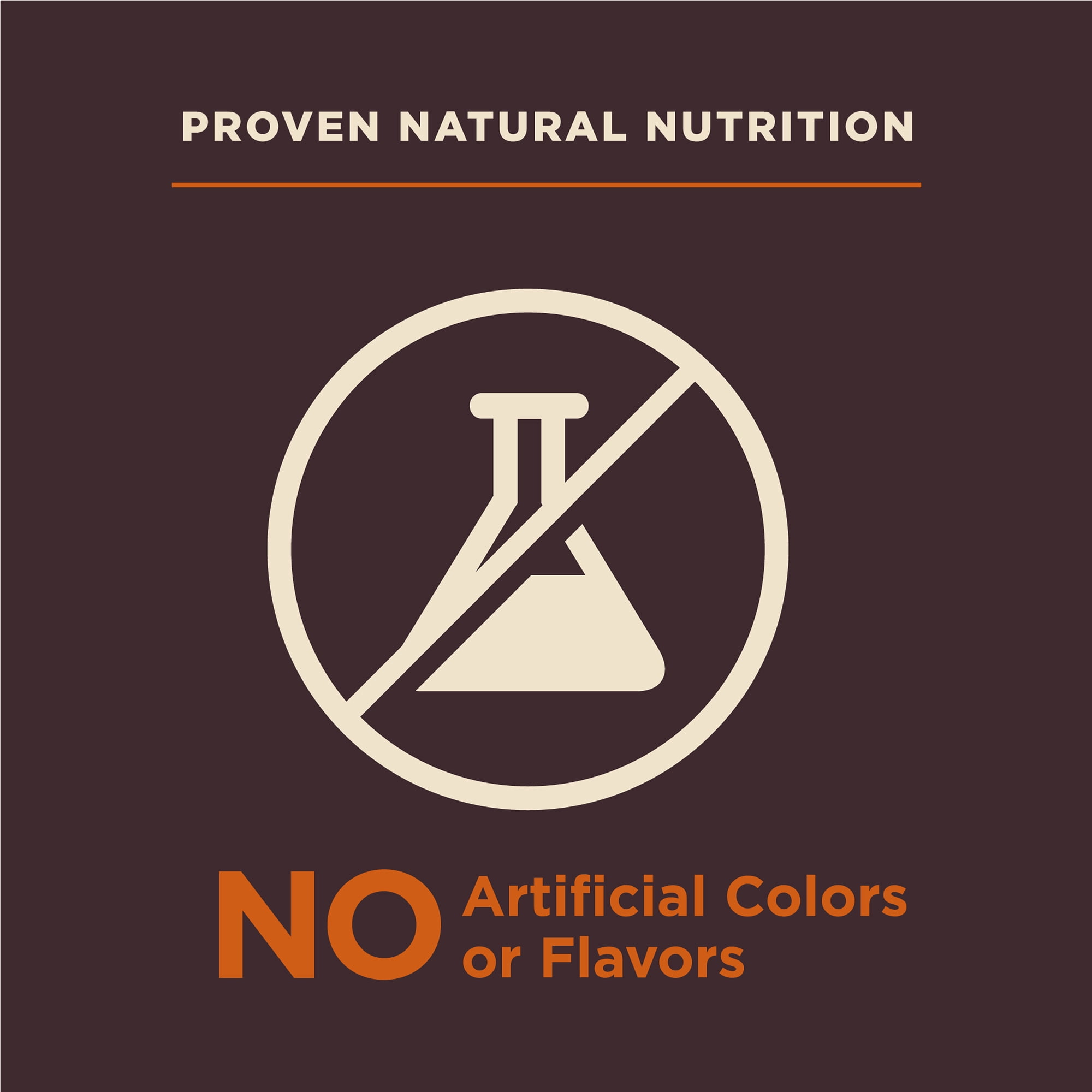 Wellness CORE Digestive Health Dry Dog Food, Small Breed, Wholesome Grains, Natural, High Quality Ingredients for Dogs with Sensitive Stomachs, Chicken Recipe, (12-Pound Bag) - Image 8