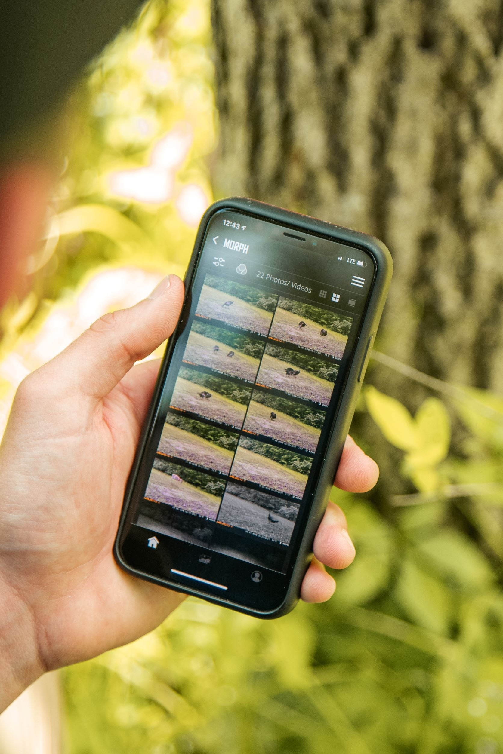 Muddy Morph Cellular Trail Monitor, 26 Megapixels, Verizon - Image 3