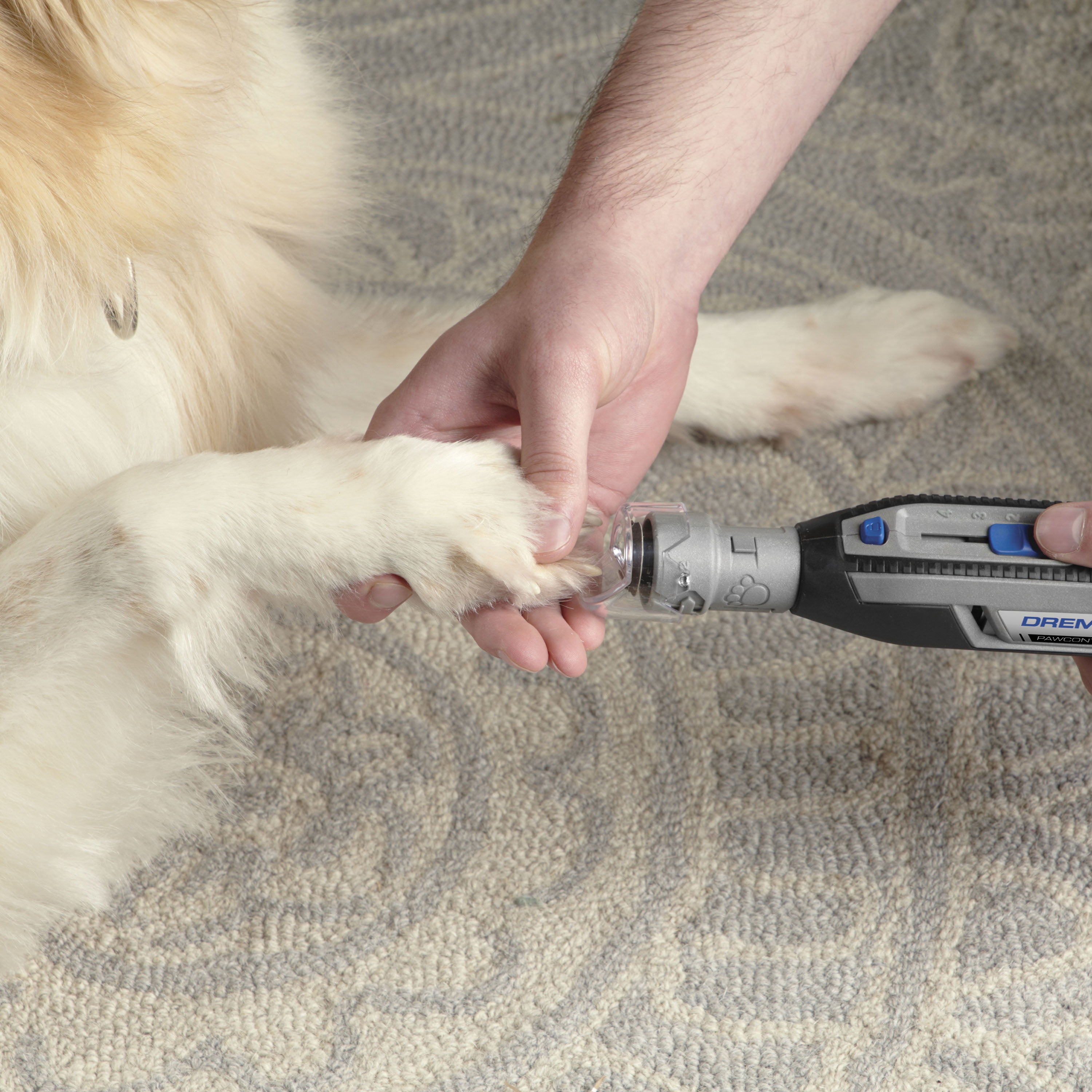 Dremel 7760-PGK 4 Volt Cordless Rotary Dog and Cat Pet Nail Grooming Kit with 10 Additional Grooming Disks - Image 8