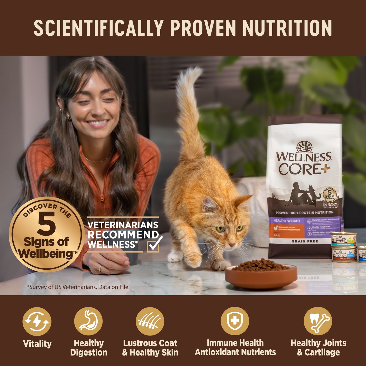 Wellness CORE+ Digestive Health Salmon & Rice Dry Cat Food, 11 Pound Bag - Image 2