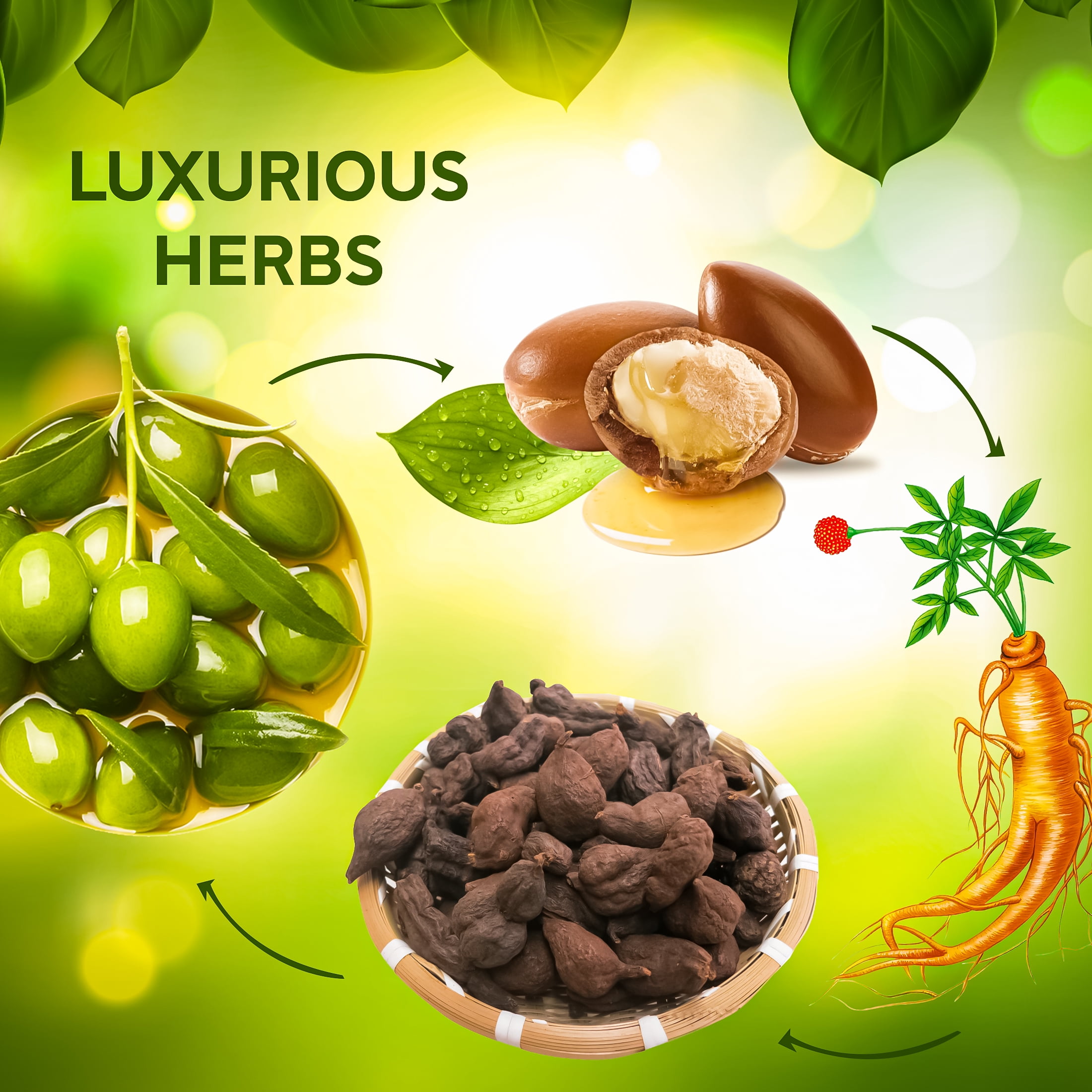 Herbishh Combo Pack - 2 Pc Hair Color Shampoo, Long Lasting Color, (500 ml, Dark Brown) + 1 Pc Argan Hair Mask, Nourishes Dry & Frizzy Hair (150 ml) - Image 4