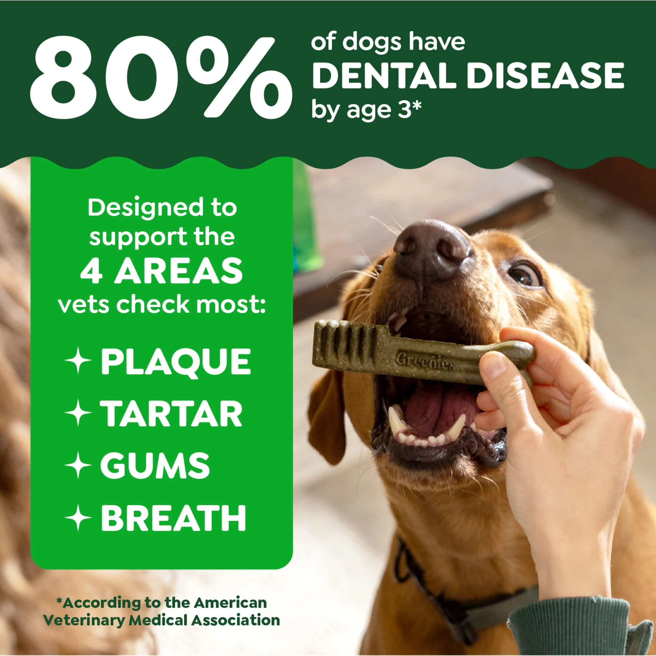 (3 pack) Greenies Original Large Natural Dental Care Dog Treats, 27 oz Pack (17 Treats) - Image 5