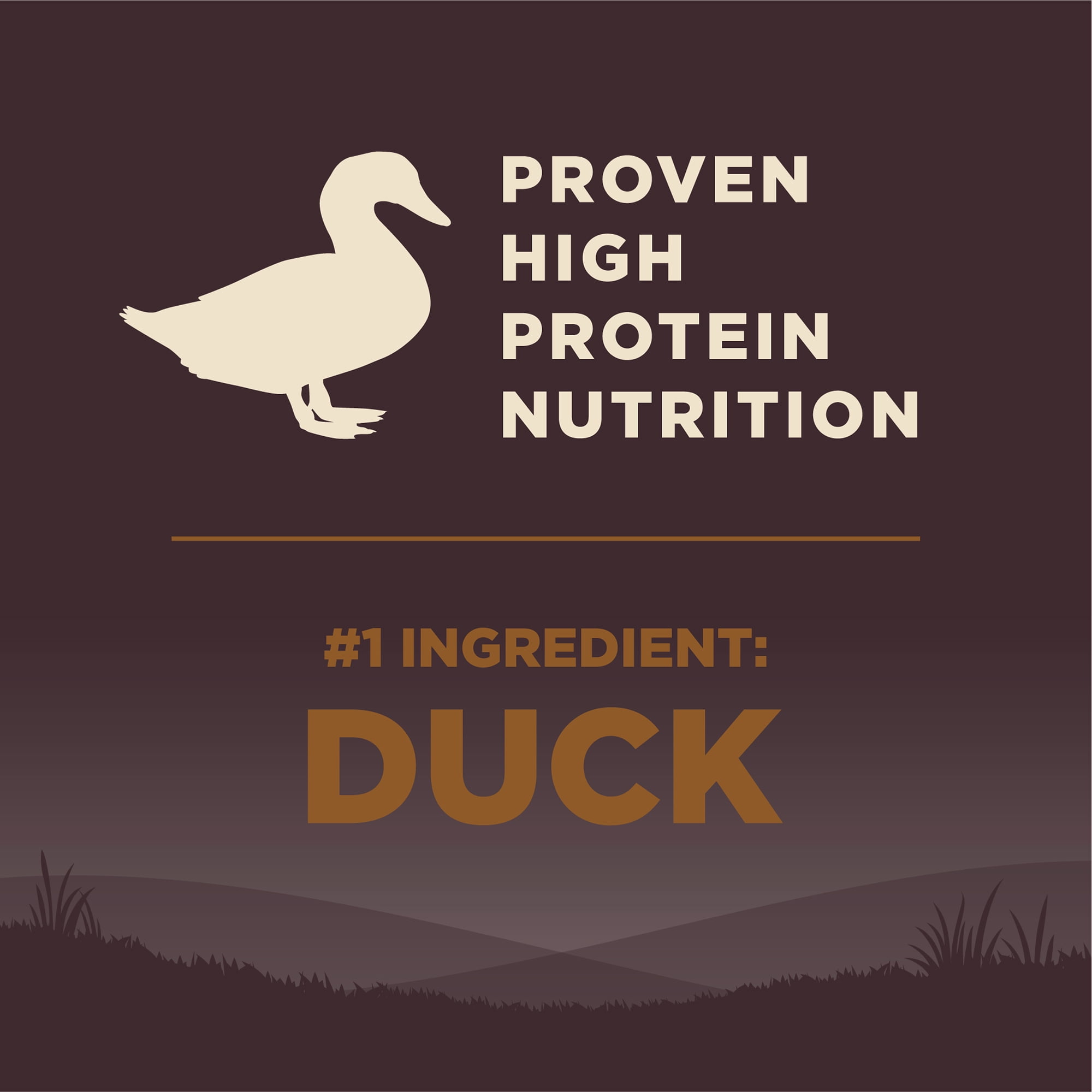 Wellness CORE Dry Dog Food, Grain Free, High Protein, Natural, Wild Game Duck, Lamb, Wild Boar, & Rabbit Recipe, (26-Pound Bag) - Image 2