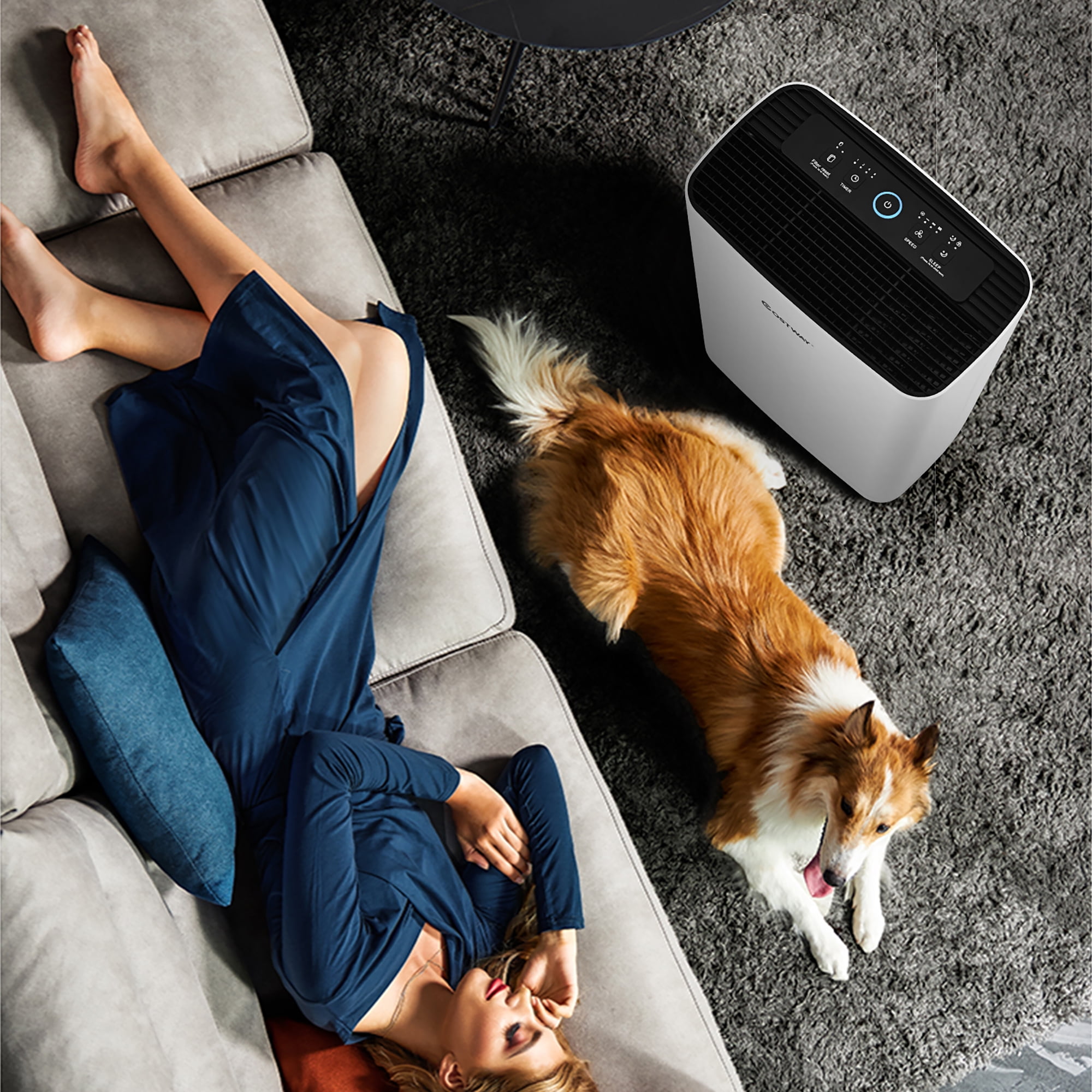 Costway Air Purifier True HEPA Filter Carbon Filter Air Cleaner Home Office 800 sq.ft - Image 9