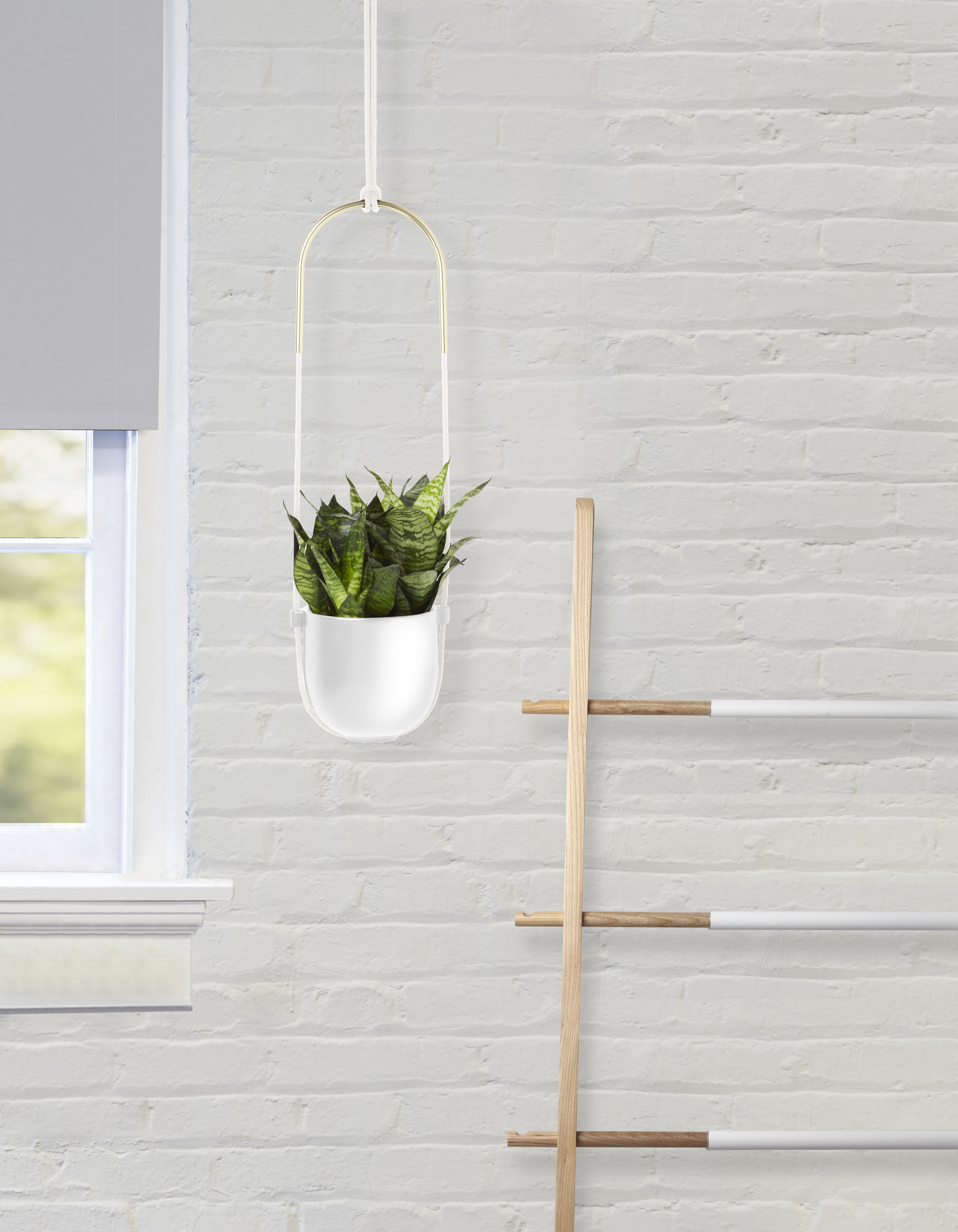 Umbra Bolo Ceramic Hanging Wall Planter White - Image 14
