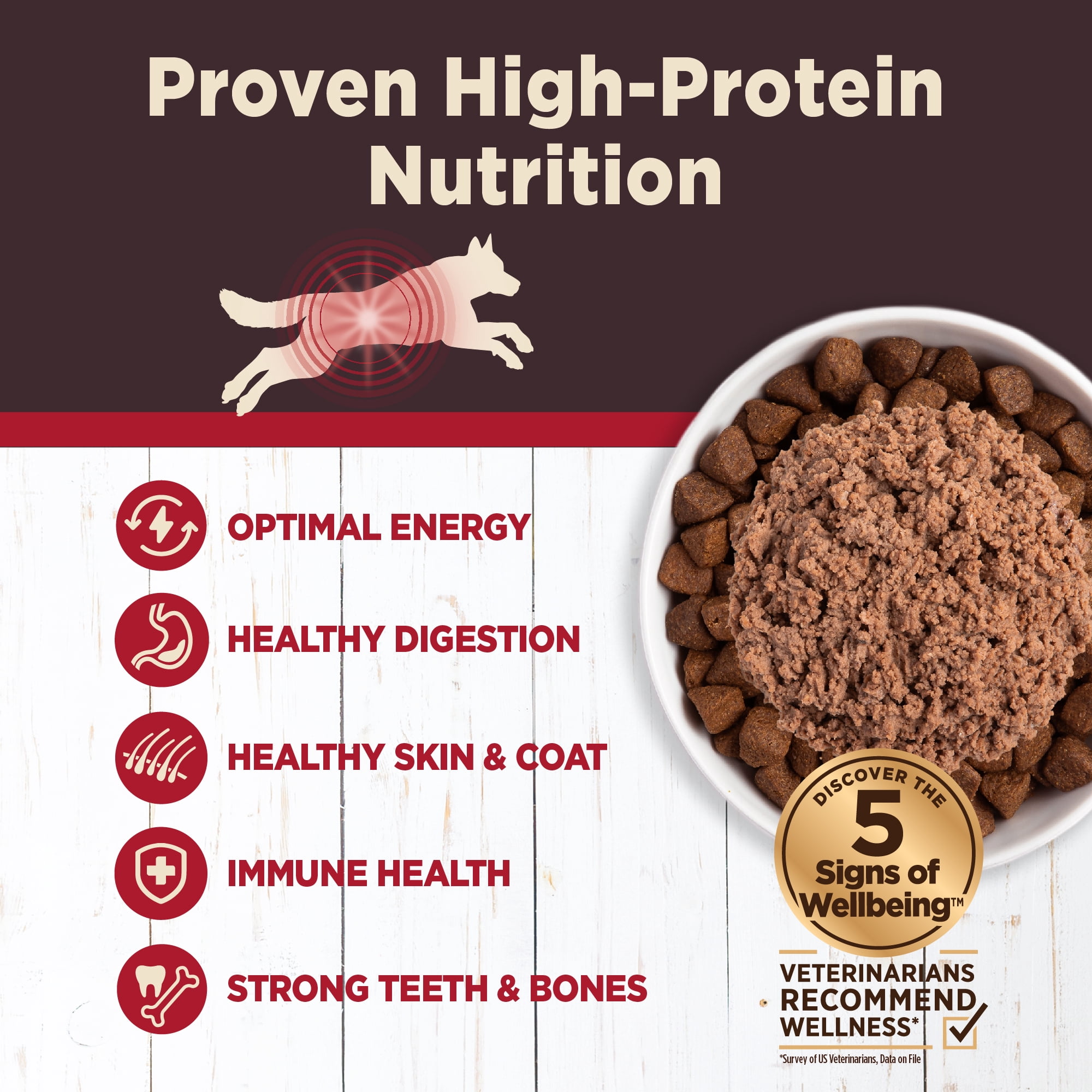 Wellness CORE Digestive Health Beef Grain Free Wet Dog Food, 13 Ounce Can (Pack of 12) - Image 2