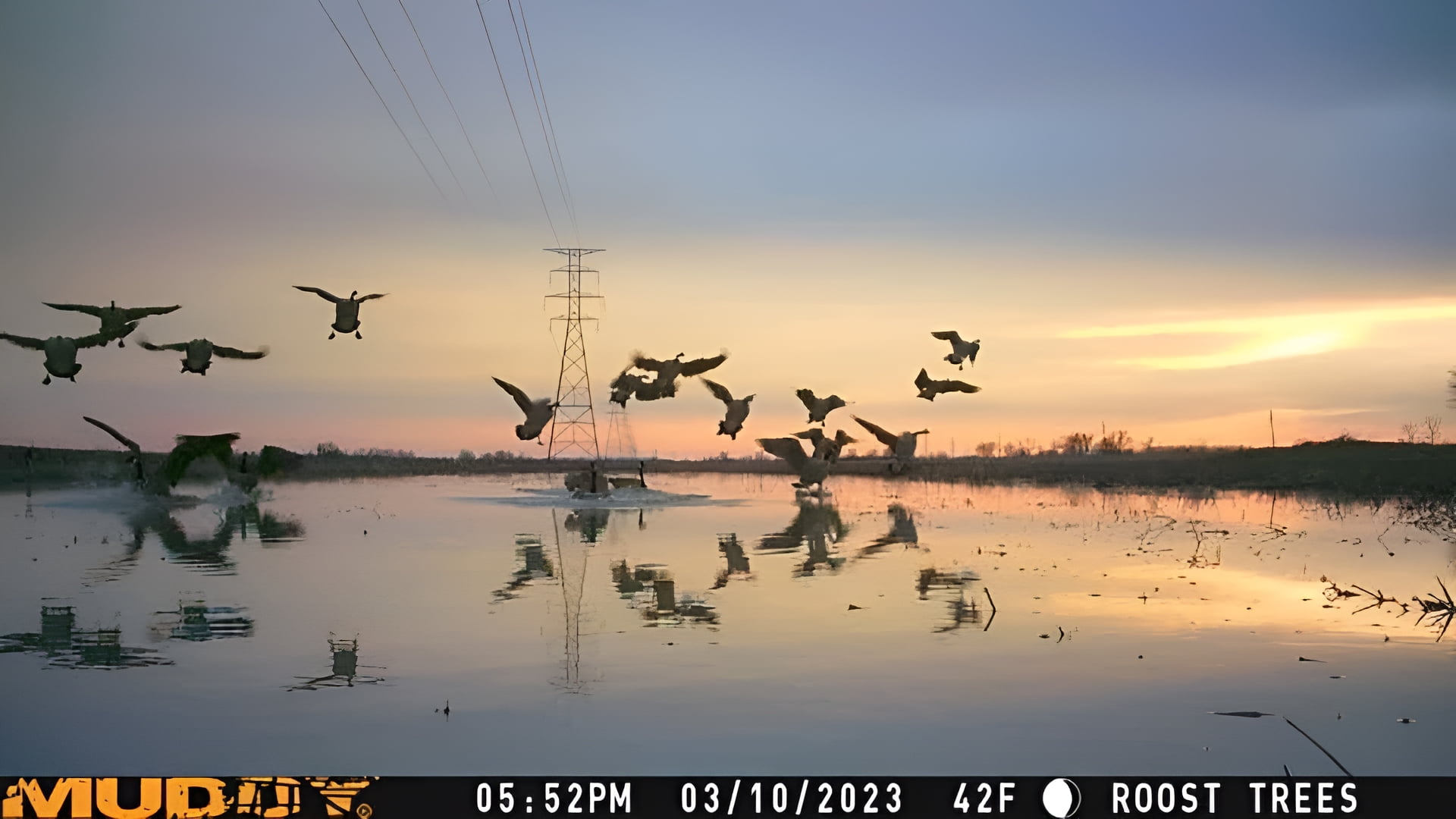 Muddy Outdoors Matrix Cellular Trail Camera 36 MP - Image 3