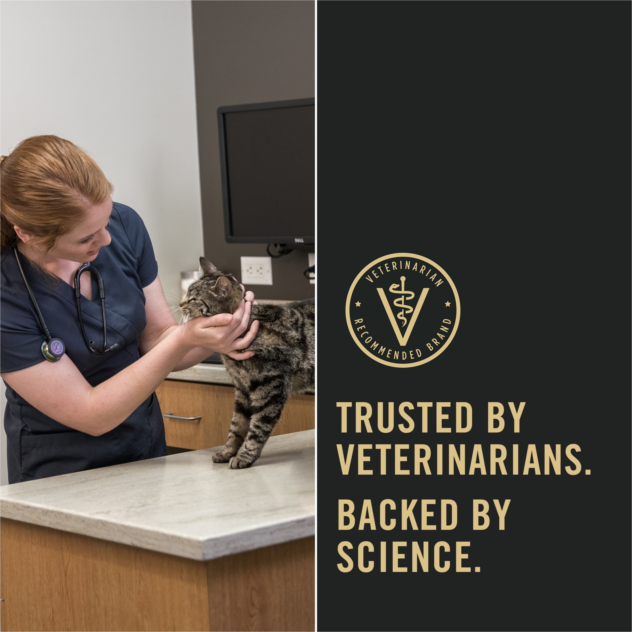 Purina Pro Plan Weight Management, Turkey Rice, Wet Cat Food 3 oz Cans, 24 Pack - Image 2