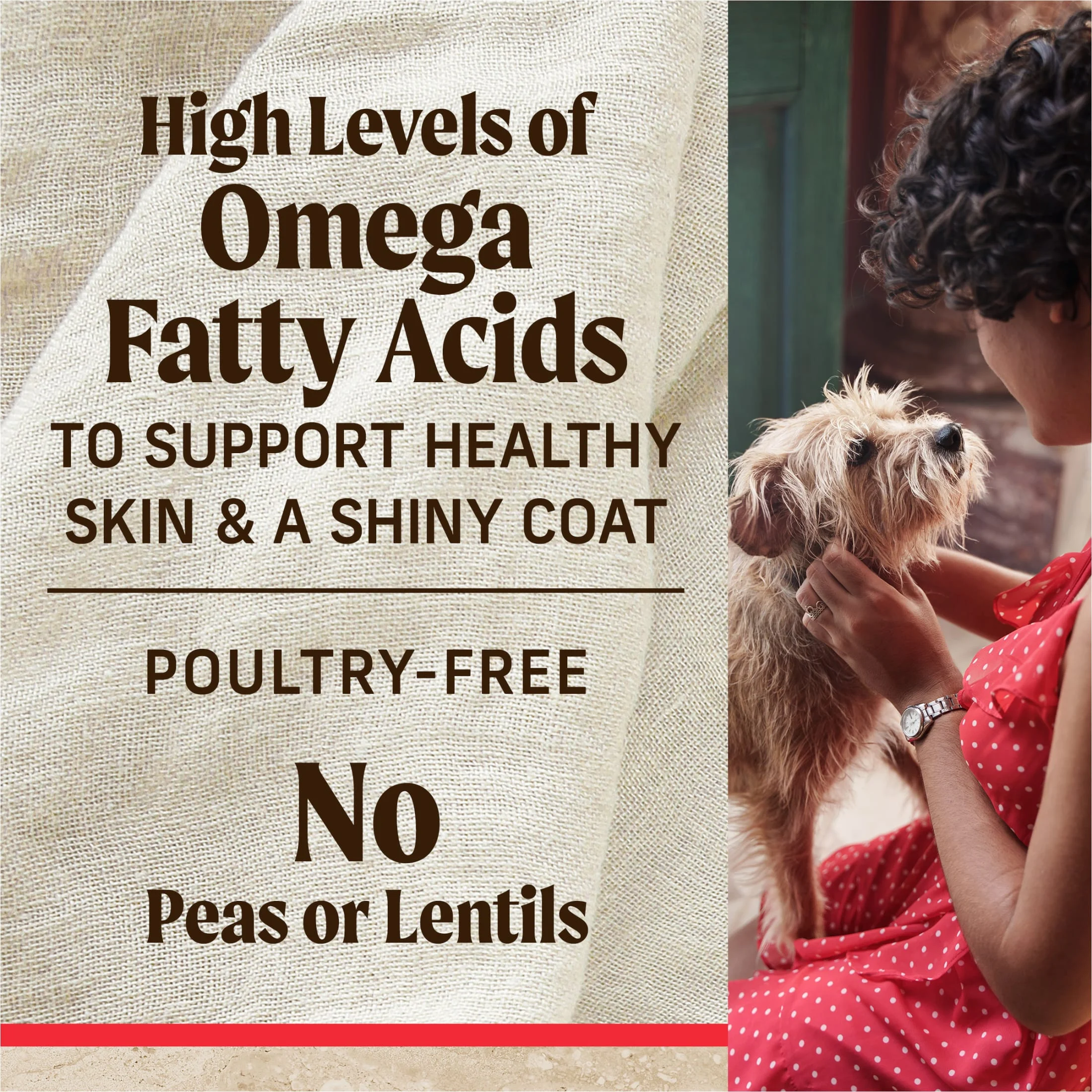 Merrick Healthy Grains Premium Adult Dry Dog Food, Wholesome And Natural Kibble With Beef And Brown Rice, 33.0 lb. Bag - Image 6