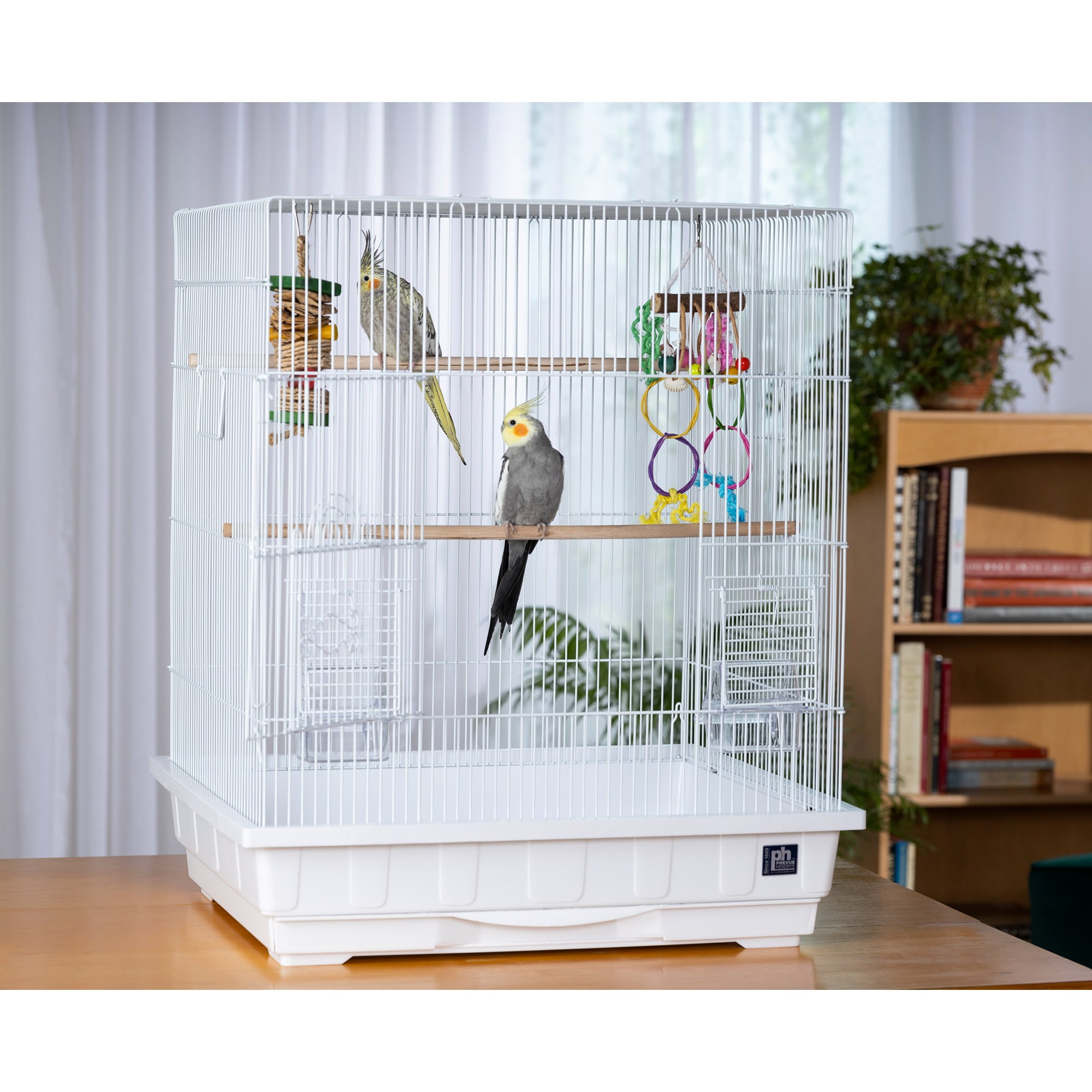 Prevue Pet Products Keet/Tiel Square Roof Bird Cage - White SP25212W/W - Image 4