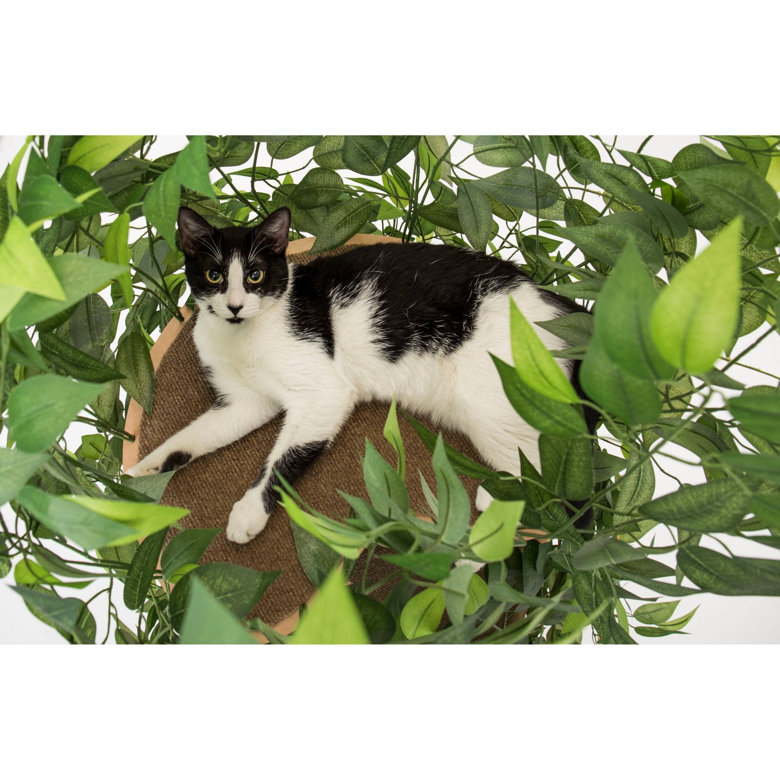 On2Pets Cat Tree with Leaves, Cat House & Cat Activity Tree, Multi-Level Cat Condo for Indoor Cats, Square Base - Image 9
