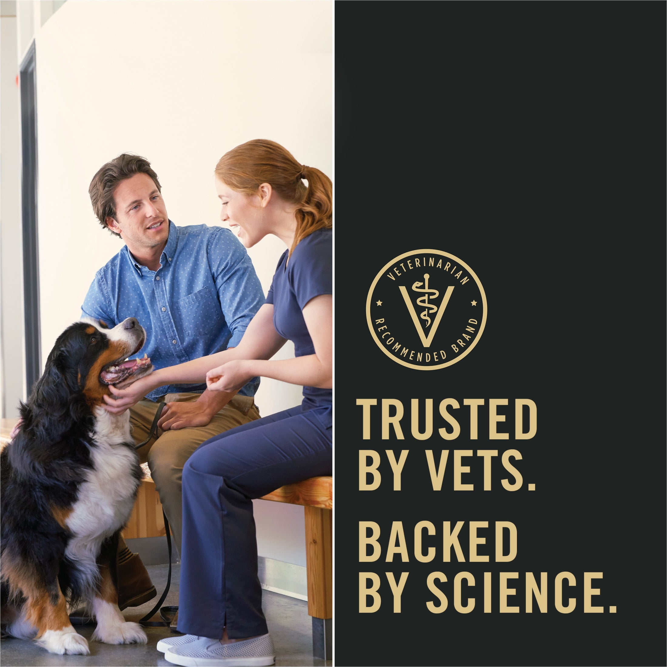 Purina Pro Plan Puppy Dry Dog Food for Small Dogs High Protein, Real Chicken & Rice, 18 lb Bag - Image 5