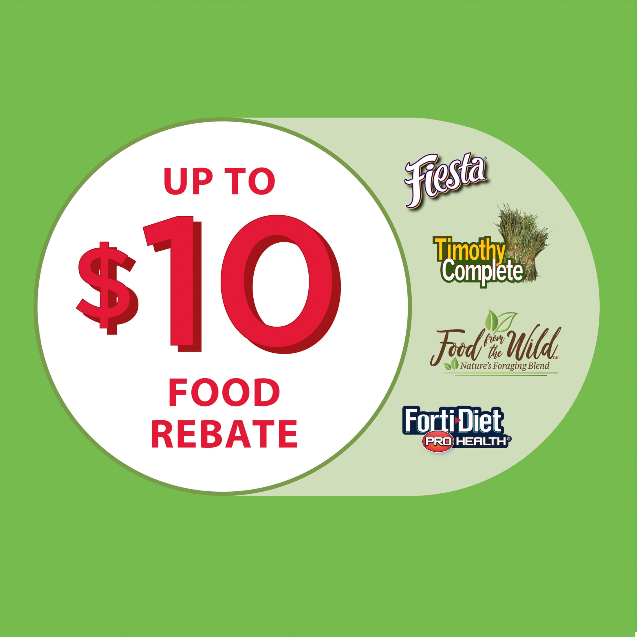 Kaytee My First Home Rabbit or Multiple Guinea Pig Starter Kit Habitat, 42” x 18” x 20” - Image 6