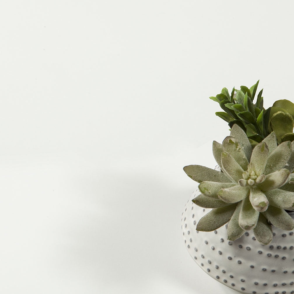 Tvilum Diana 3-Drawer Shoe Accent Cabinet, White/Oak Structure - Image 13