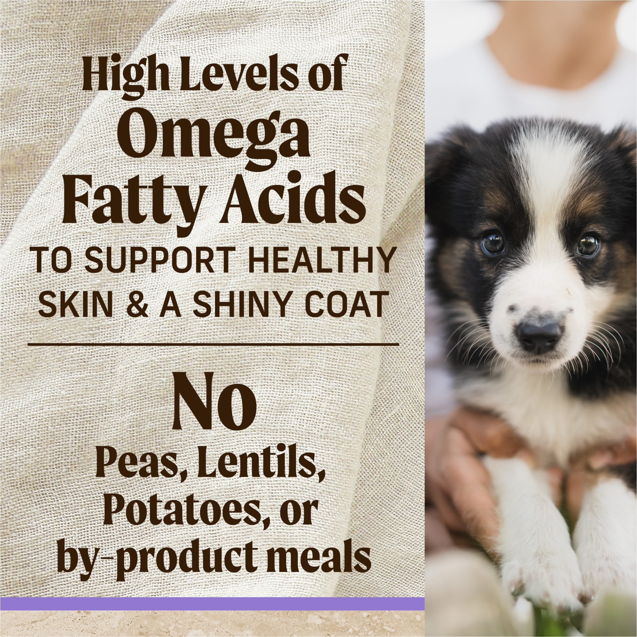 Merrick Chicken Dry Dog Food For Puppies, Whole Grain,12 lb Bag - Image 8