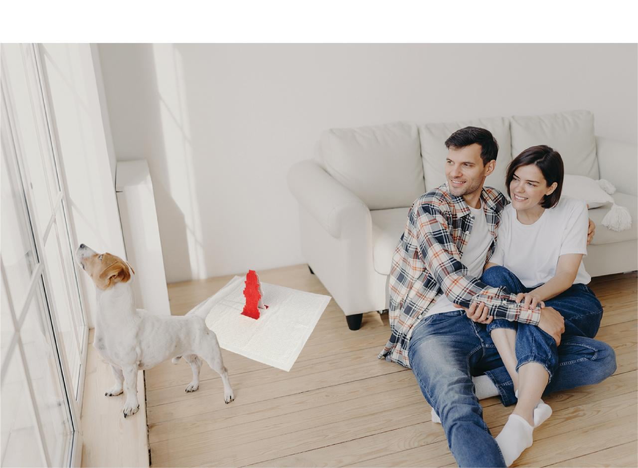 Rocky & Maggie's Pop-Up Puppy Pee Pad with Hydrant Target for Potty Training - Image 2