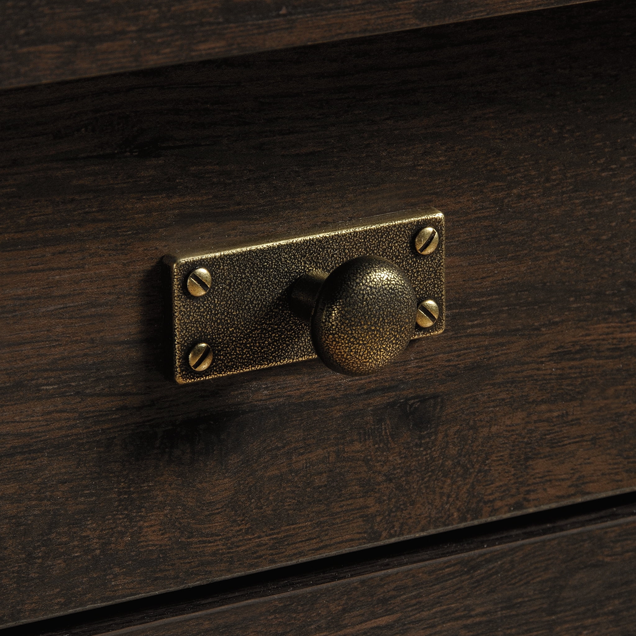 Sauder Costa Library Base Cabinet, Coffee Oak Finish - Image 3