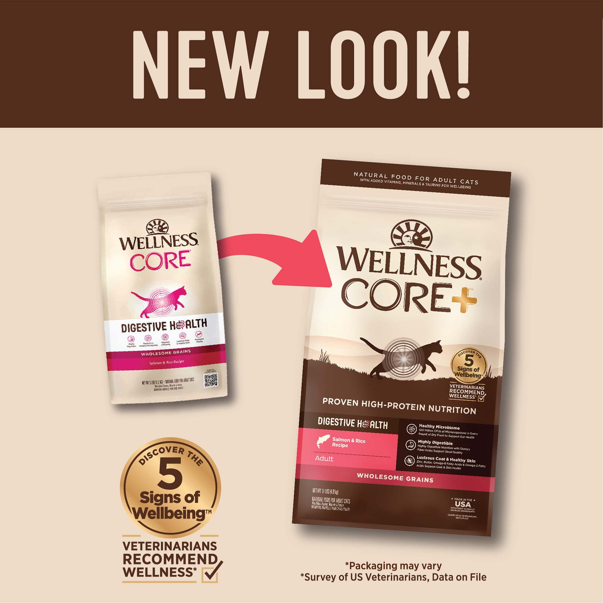 Wellness CORE+ Digestive Health Salmon & Rice Dry Cat Food, 11 Pound Bag - Image 3
