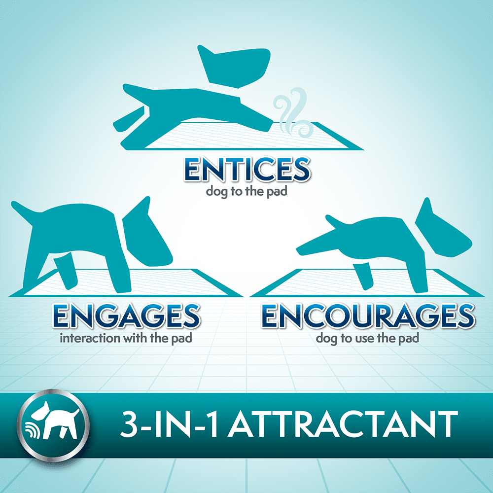 (2 pack) Simple Solution Super Absorbent Training Pads for Dogs - XL - 28" x 30" - 50 Count - Image 5