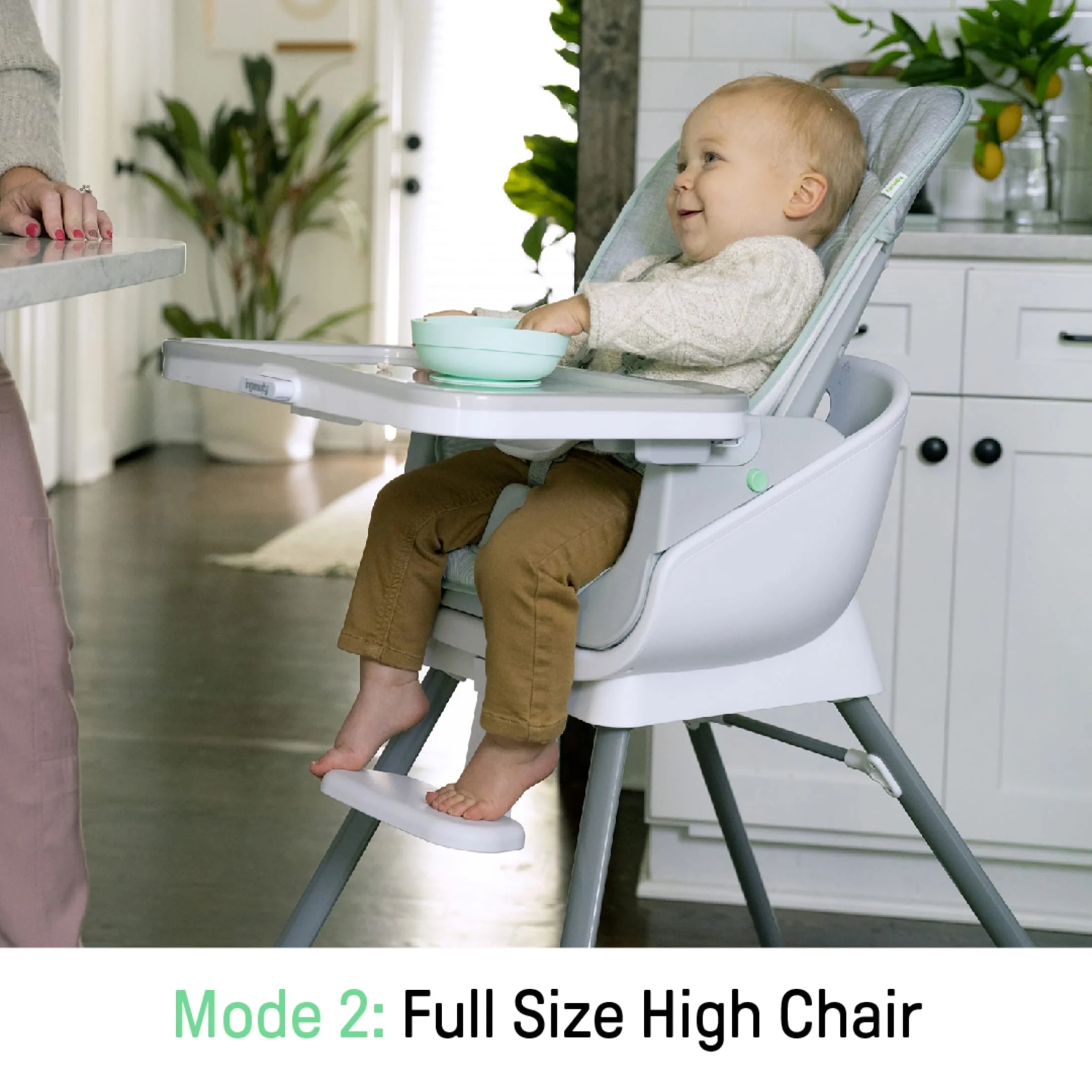 Ingenuity Beanstalk Baby to Big Kid 6-in-1 High Chair, Booster Seat and More, Newborn to 5 Yrs - Ray - Image 15