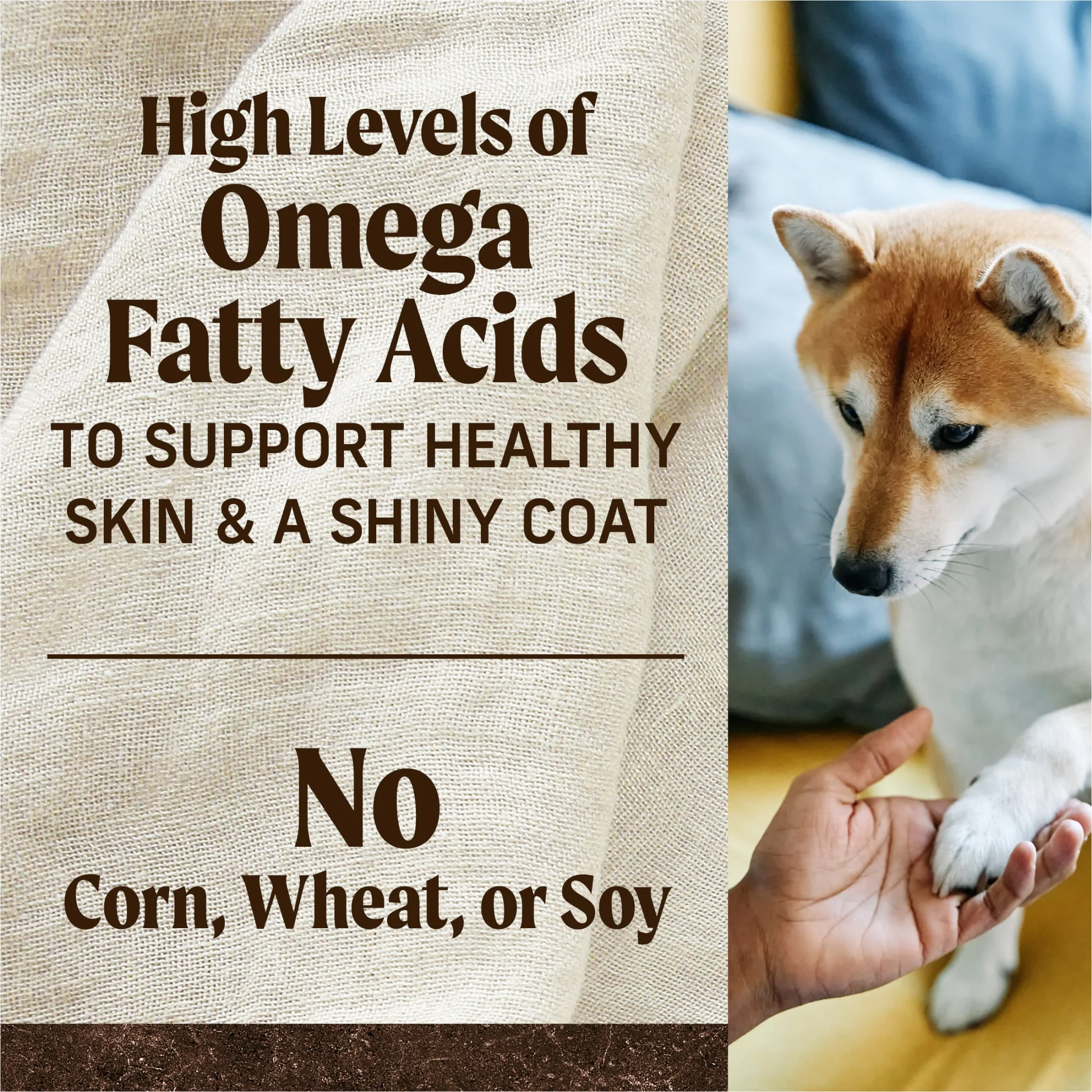 Merrick Premium Grain Free Dry Adult Dog Food, Wholesome And Natural Kibble With Real Chicken And Sweet Potato, 22.0 lb. Bag - Image 9