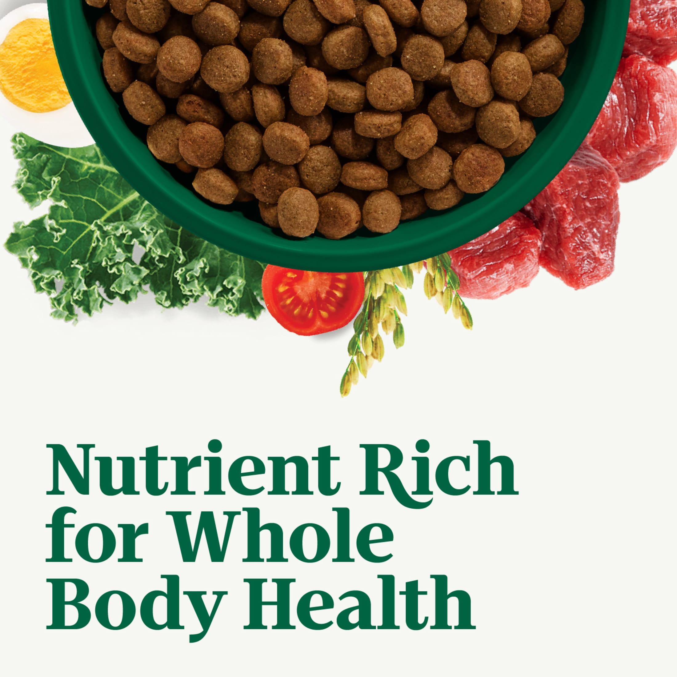 Nutro Natural Choice Adult Large Breed Dog Food Dry Recipe Chicken & Brown Rice, 36 Lb Bag - Image 8