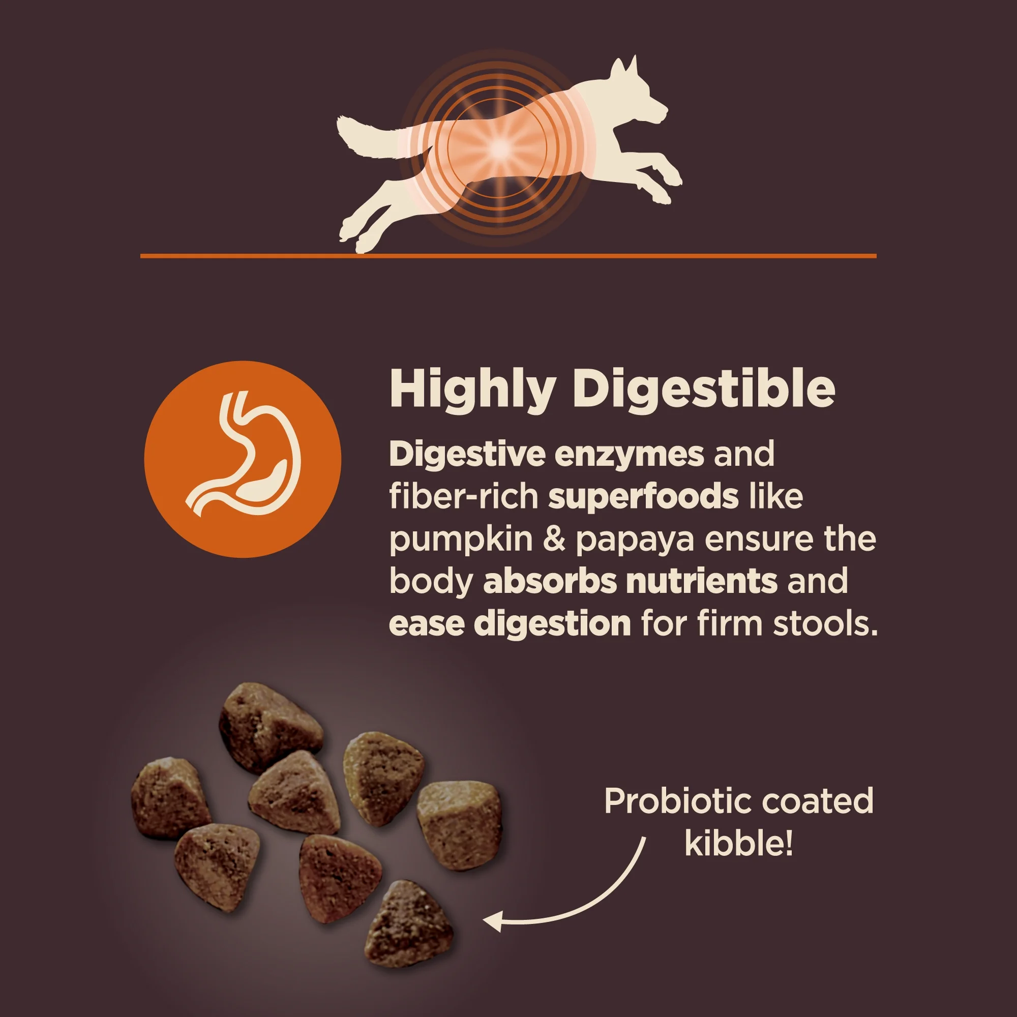 Wellness CORE Digestive Health Dry Dog Food, Wholesome Grains, Natural, High Quality Ingredients for Dogs with Sensitive Stomachs, Chicken Recipe, (24-Pound Bag) - Image 4