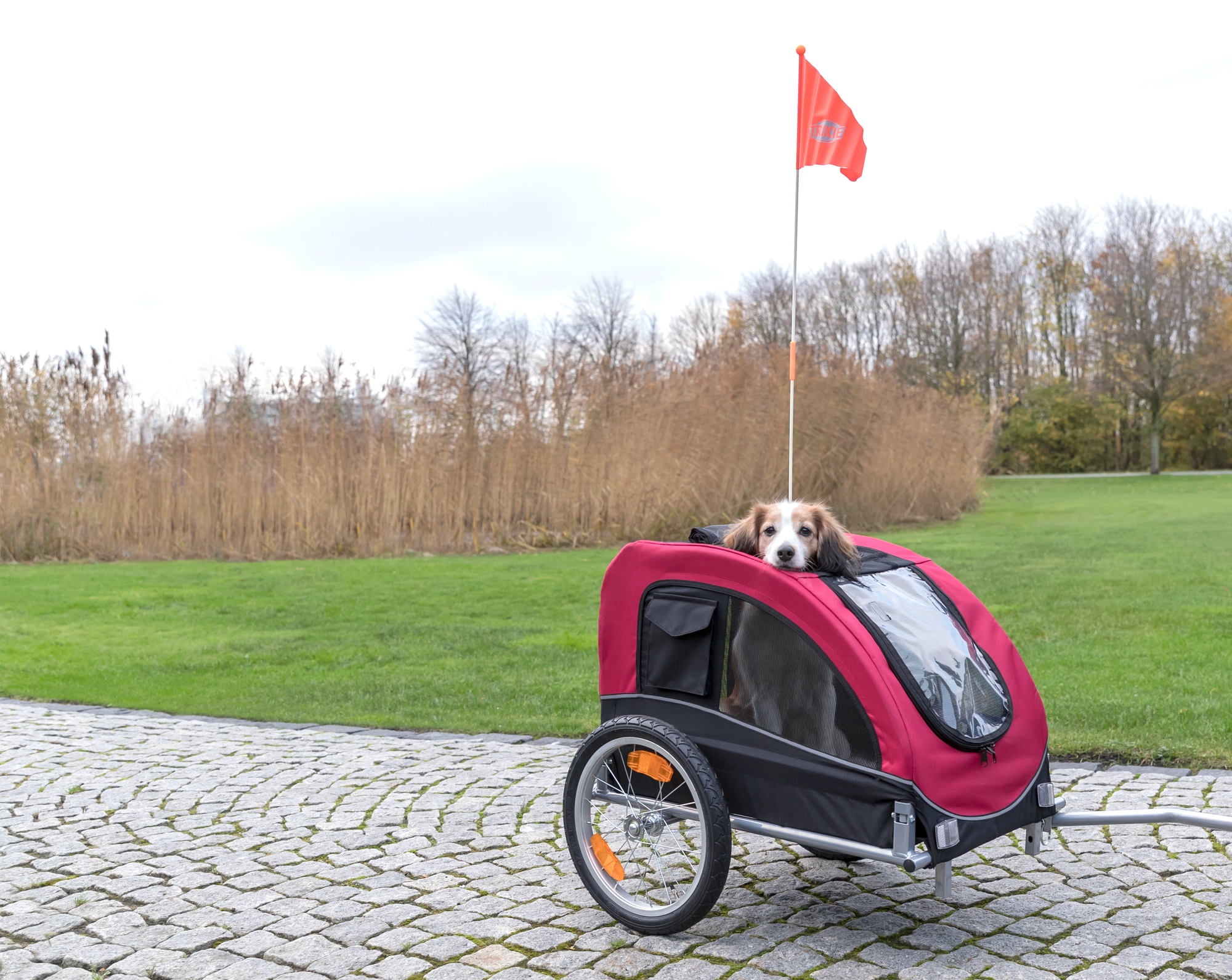 TRIXIE Foldable 2-in-1 Bicycle Trailer for Medium Dogs with Windows, Black & Red - Image 4