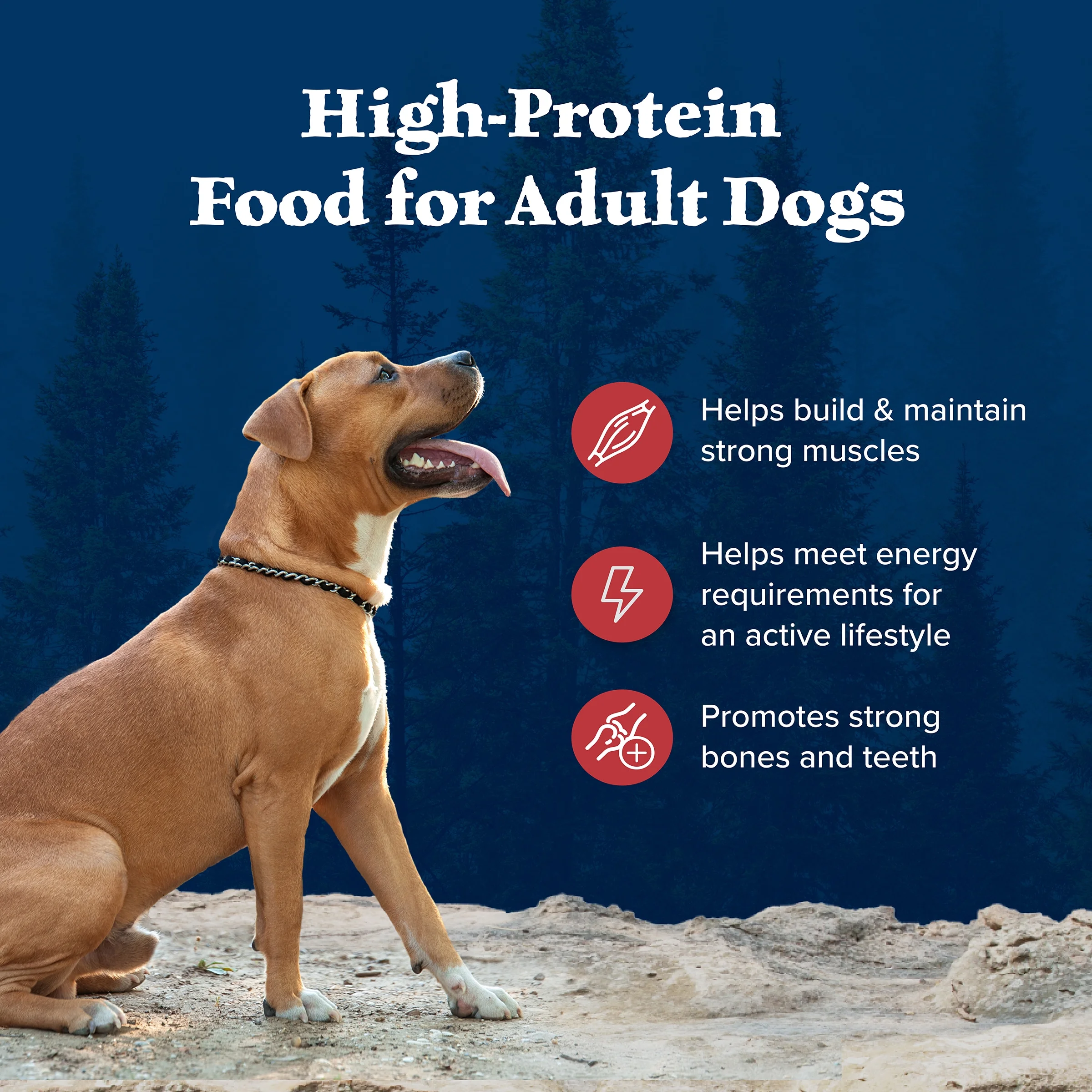 Blue Buffalo Wilderness Rocky Mountain Recipe High Protein Large Breed Adult Dry Dog Food, Natural Ingredients Plus Wholesome Grains, Red Meat, 22 lb. Bag - Image 7