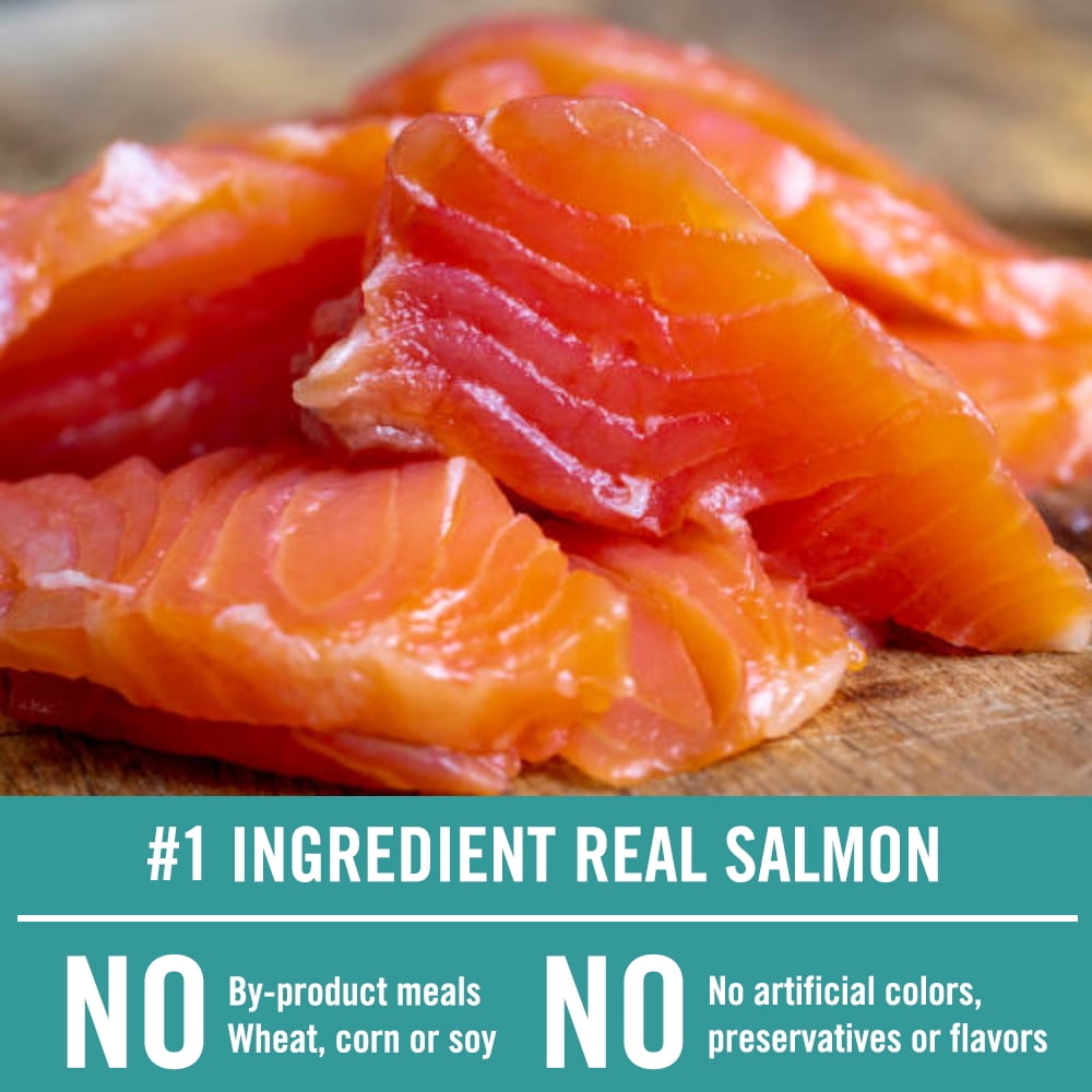 Chicken Soup for the Soul Grain Free All Life Stages Cat Food – Salmon & Legumes Dry Recipe, 12lb - Image 4