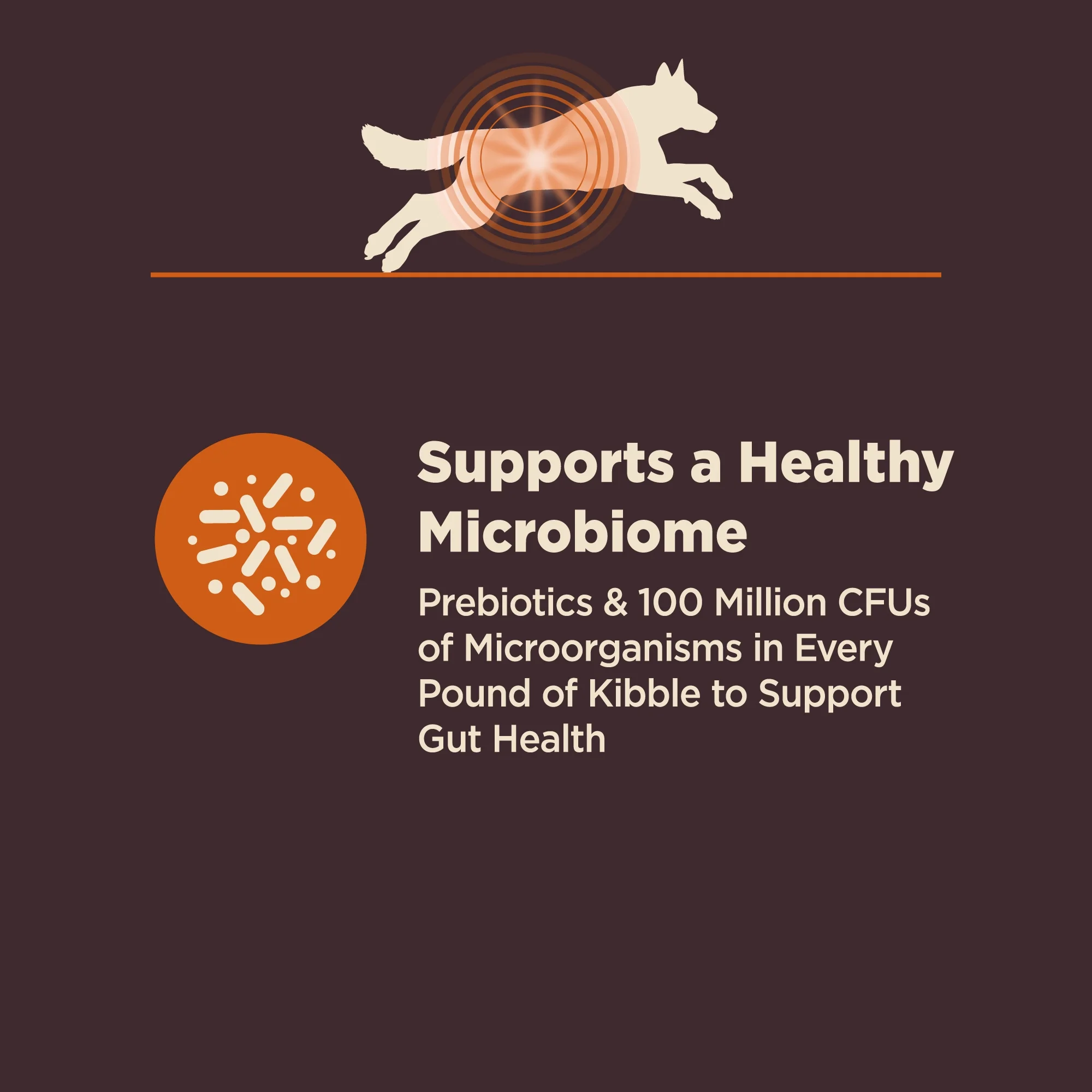 Wellness CORE Digestive Health Dry Dog Food, Wholesome Grains, Natural, High Quality Ingredients for Dogs with Sensitive Stomachs, Chicken Recipe, (24-Pound Bag) - Image 9