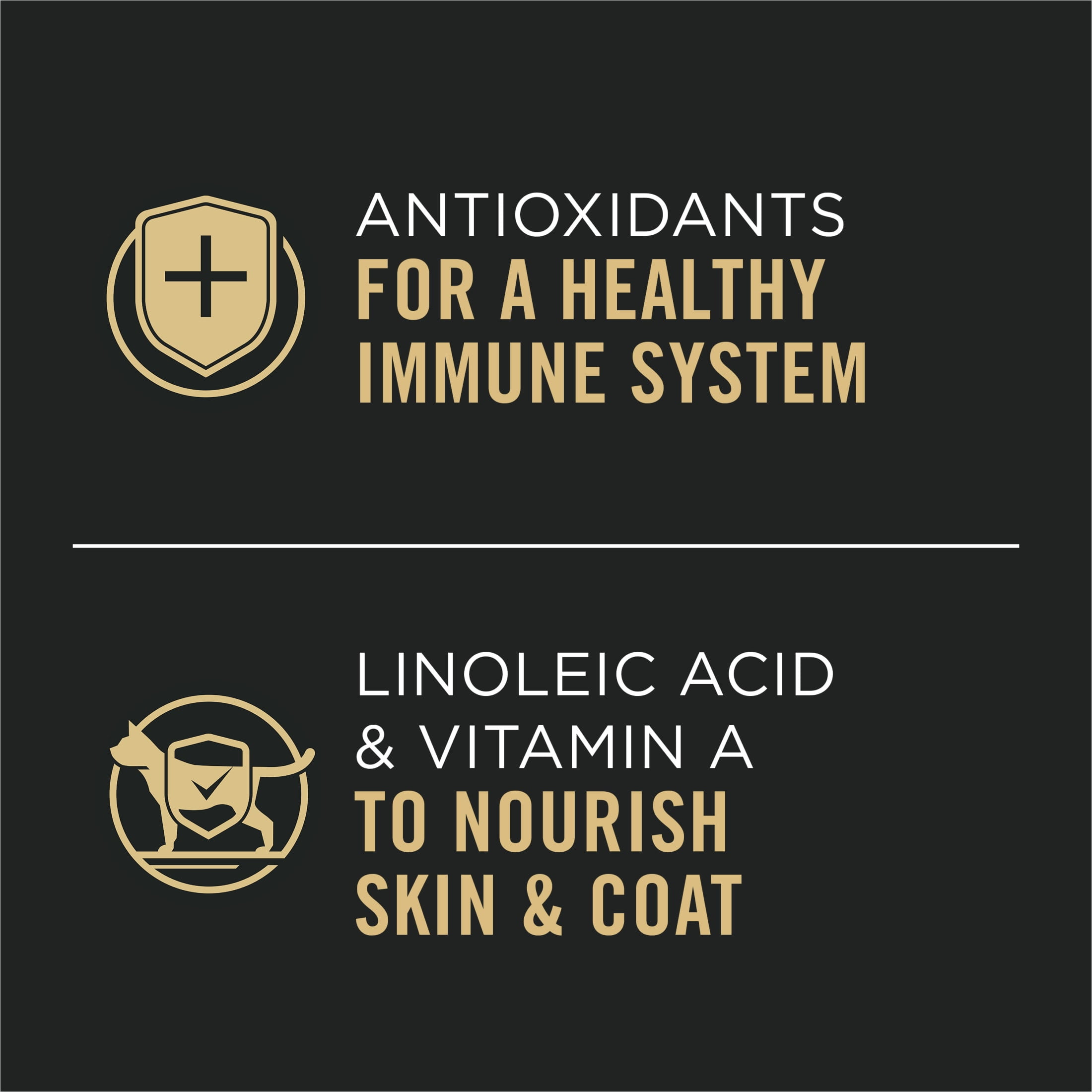 Purina Pro Plan, Grain-Free Chicken & Spinach Entree, Wet Cat Food, 24 Pack, 5.5 oz Cans - Image 6