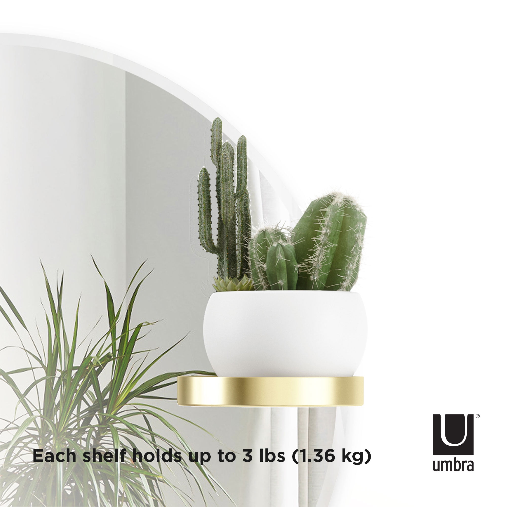 Umbra Perch 24" Wall Mirror - Image 12