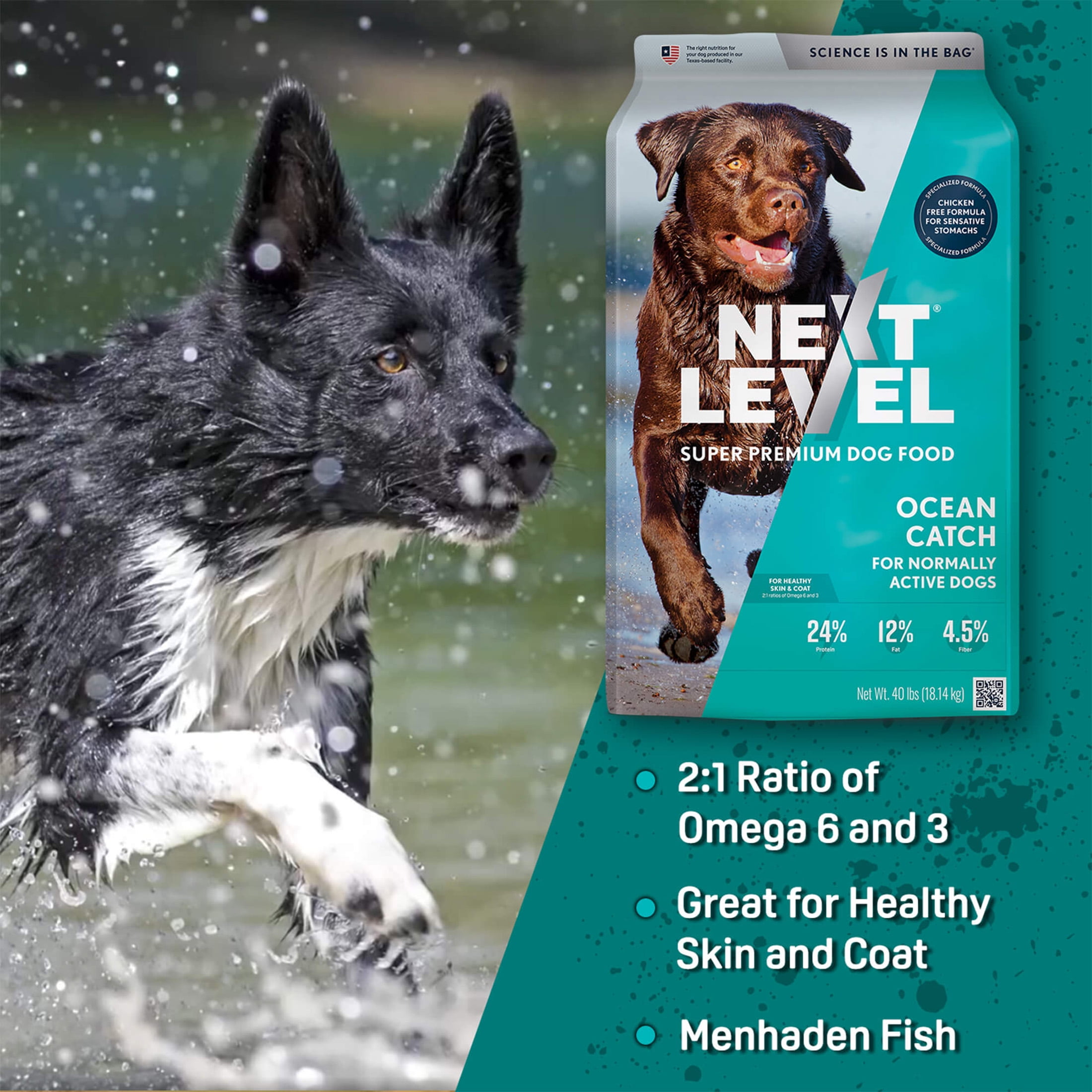 Next Level, Ocean Catch Skin & Coat Recipe, Dry Dog Food, 40 lbs - Image 6