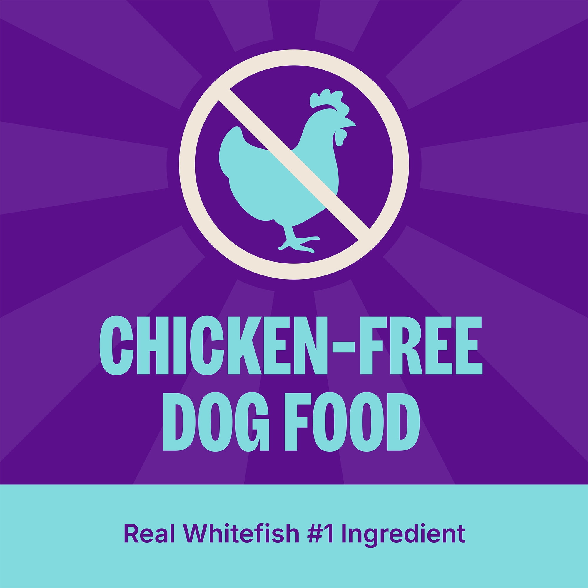 Wellness CORE+ Dry Dog Food with Freeze Dried Pieces, Grain Free, High Protein, Natural, Ocean Whitefish, Herring, & Salmon Recipe, (18-Pound Bag) - Image 7